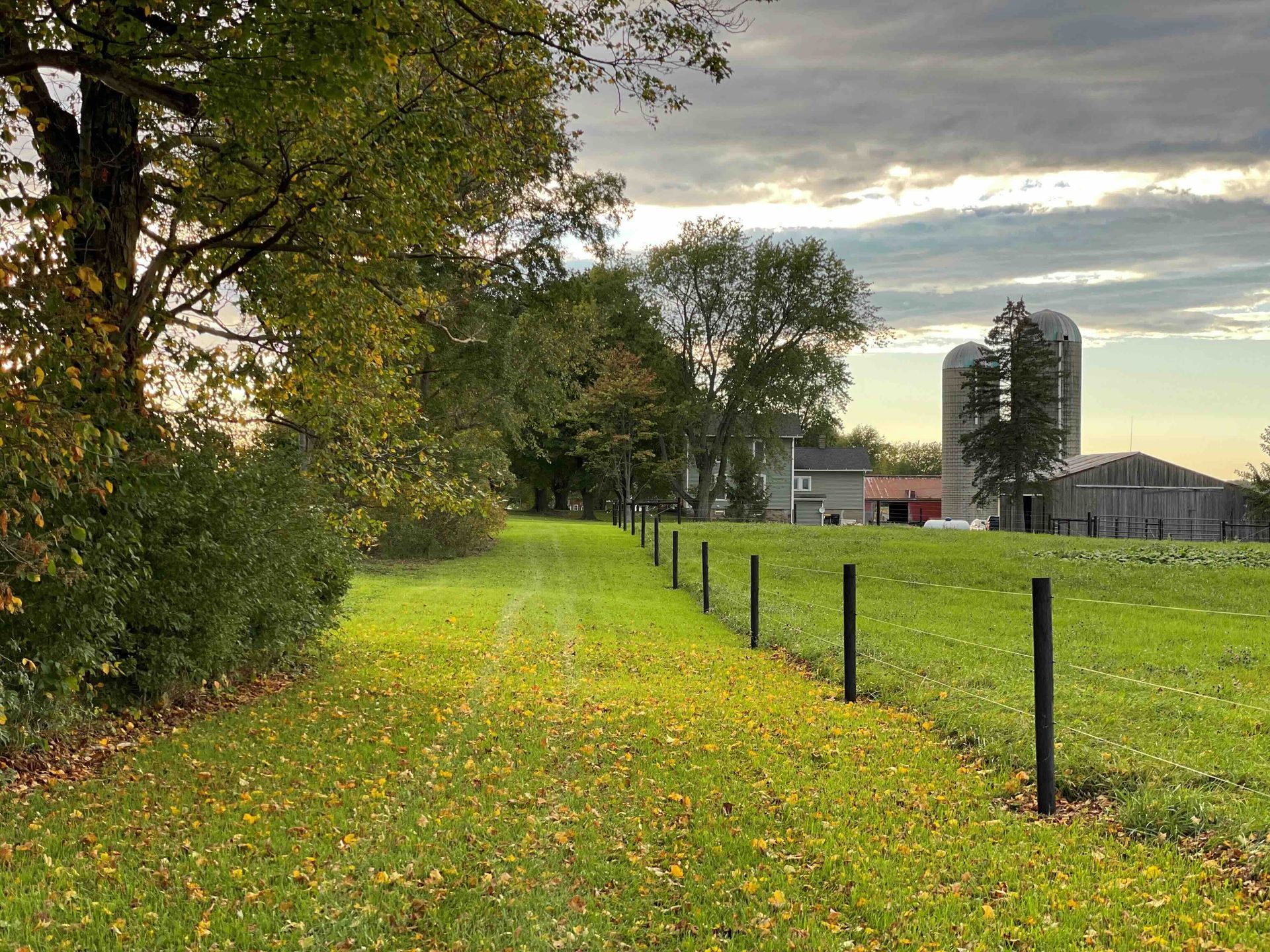 Green field with a fence, trees, and farm buildings under a cloudy sky.