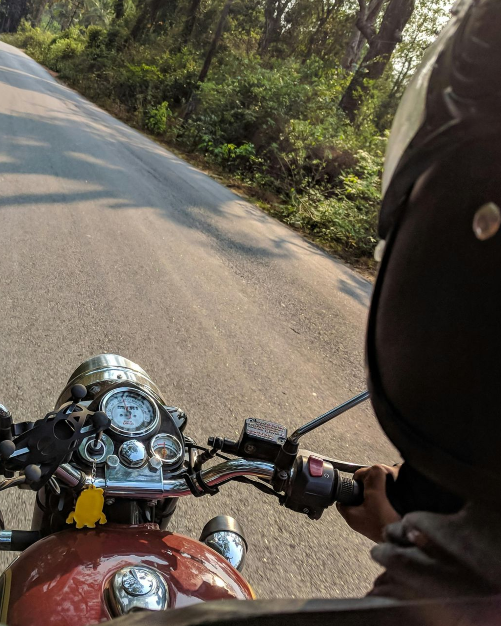 Motorcycle rider on a winding road. The rider is wearing a helmet. The road and surrounding forest are visible.