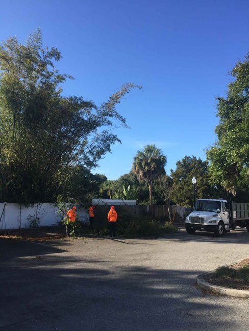 Two workers in orange vests stand by a roadside near a white truck and trees on a sunny day