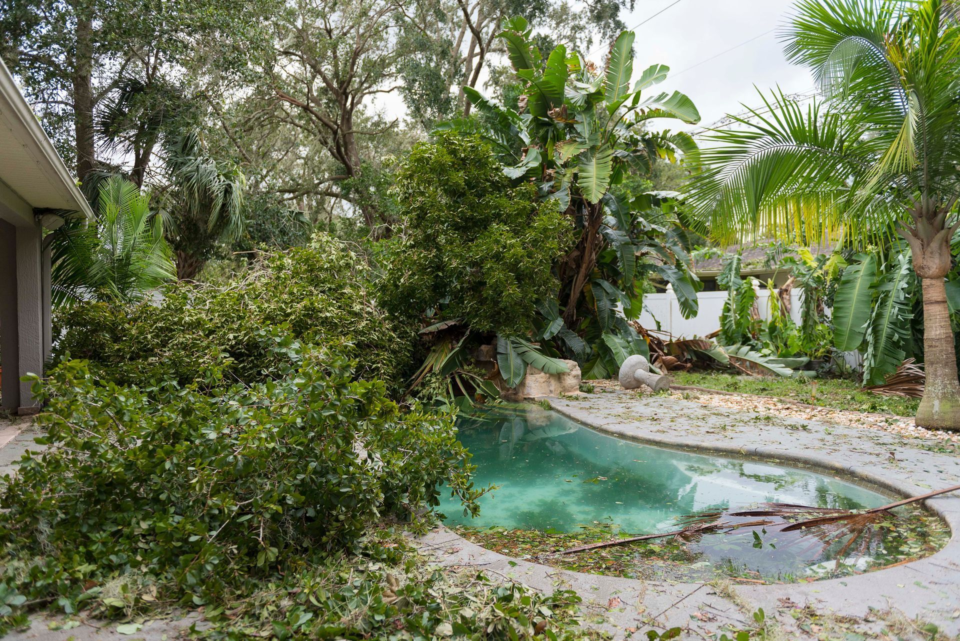 Lush tropical garden with a small curved turquoise pond beside a paved path and palm trees