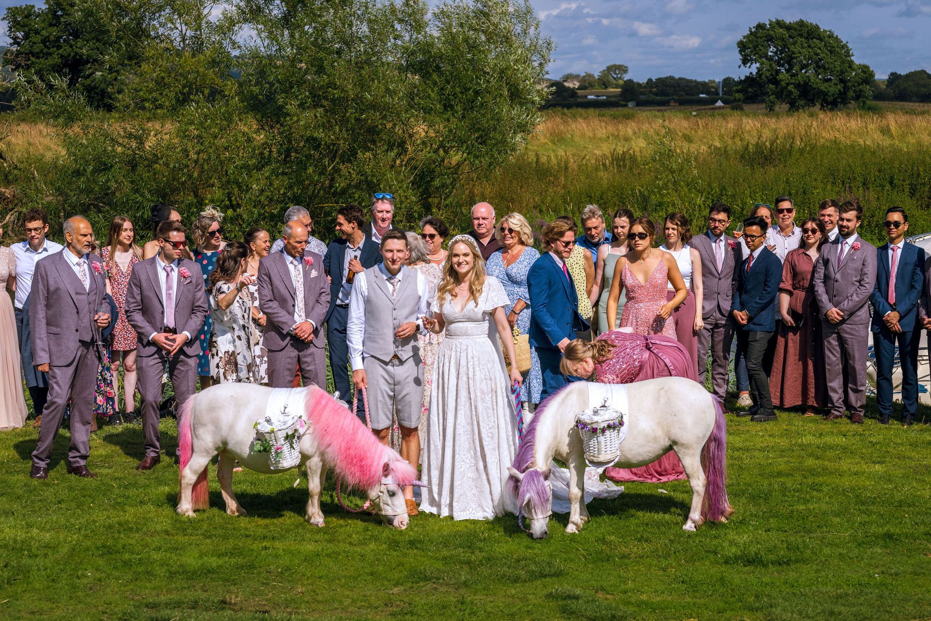 A bride and groom are posing for a picture with their wedding party and two ponies.