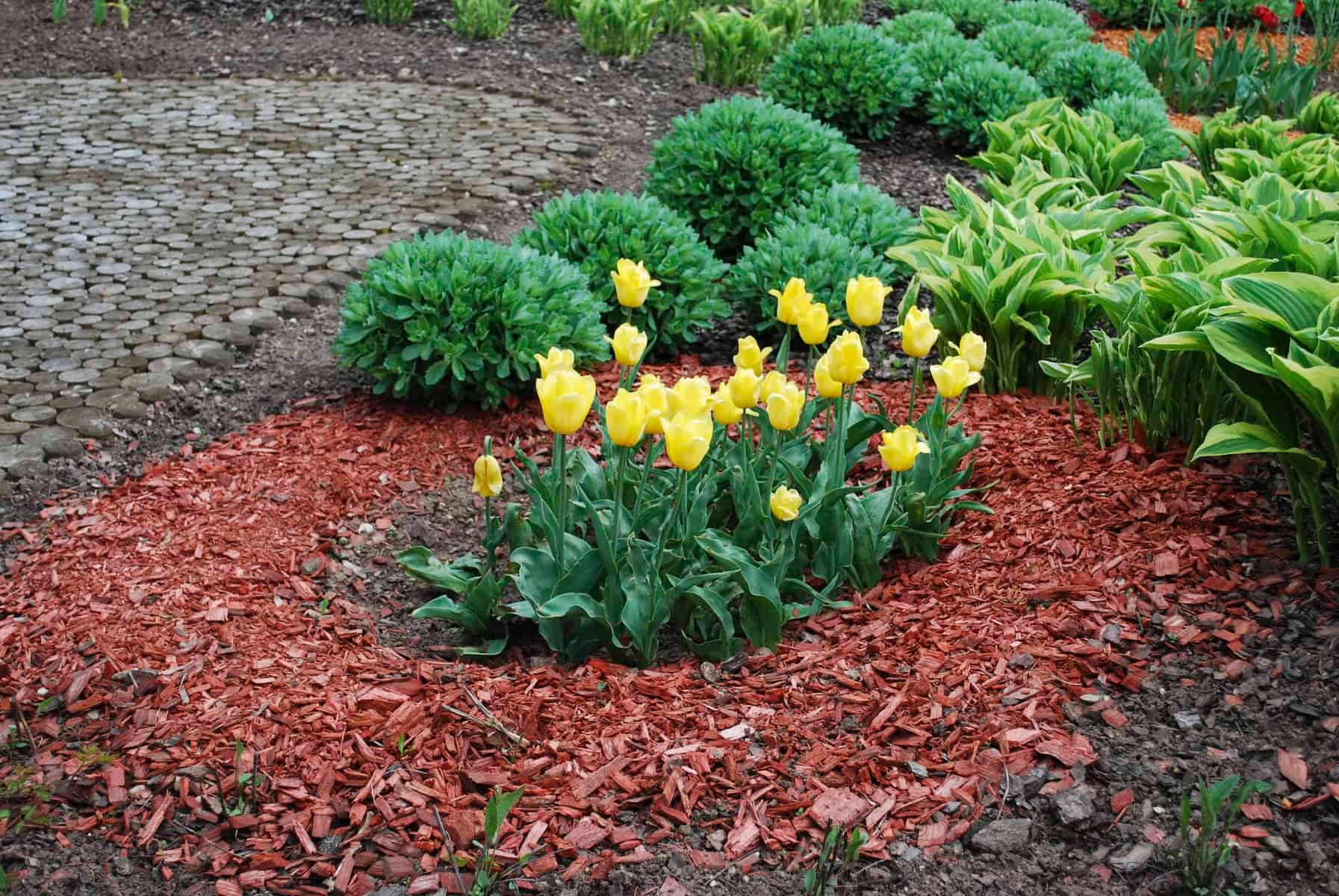Pine Straw Installation