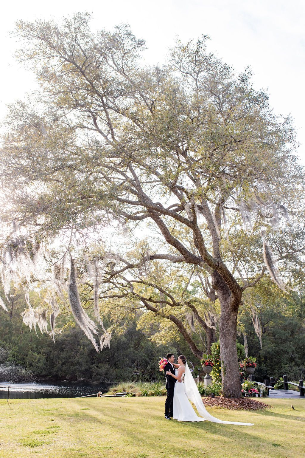 Bride and groom embracing under a large tree in a sunlit park