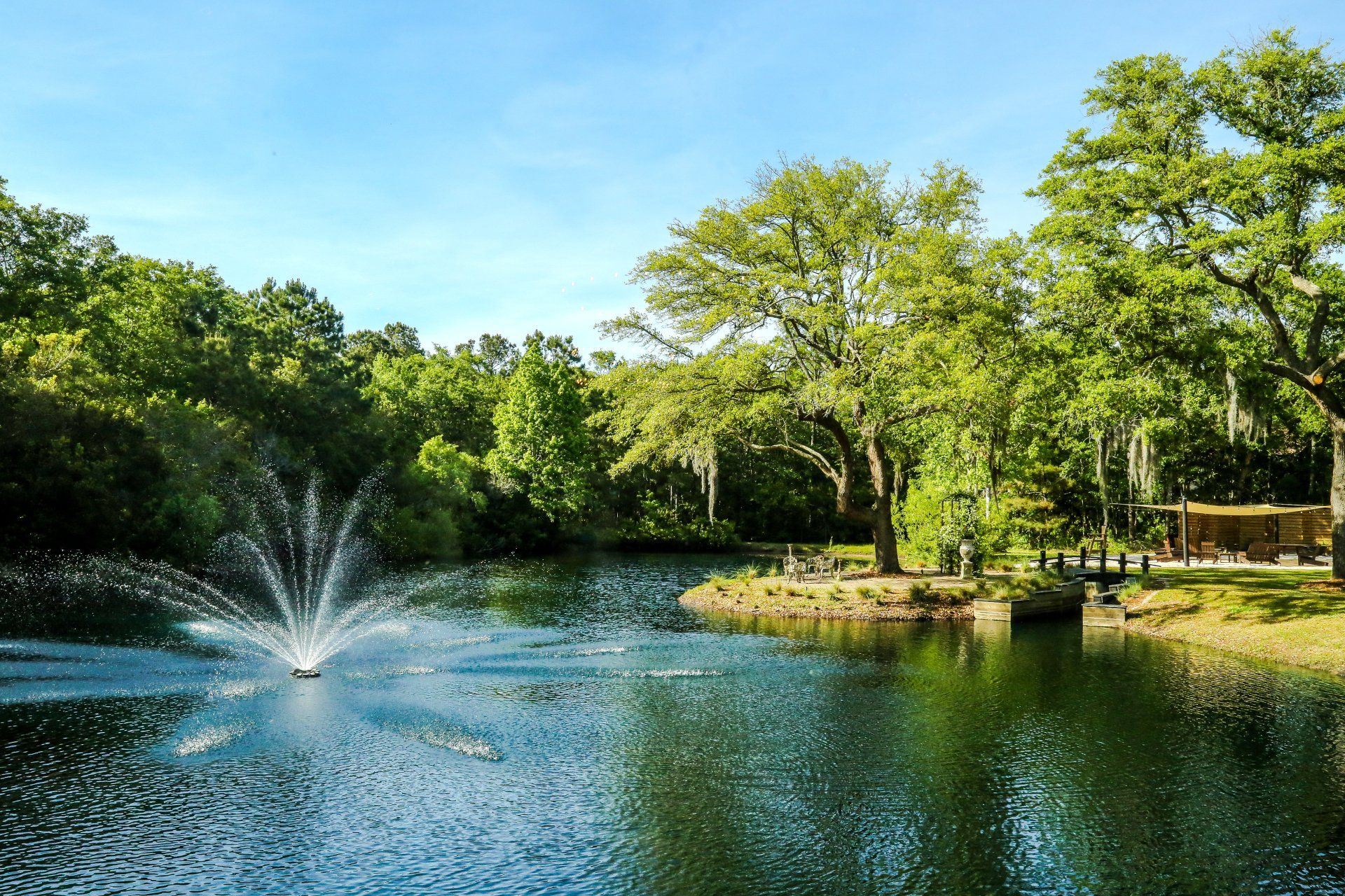 Park pond with a fountain, green trees, and blue sky on a sunny day