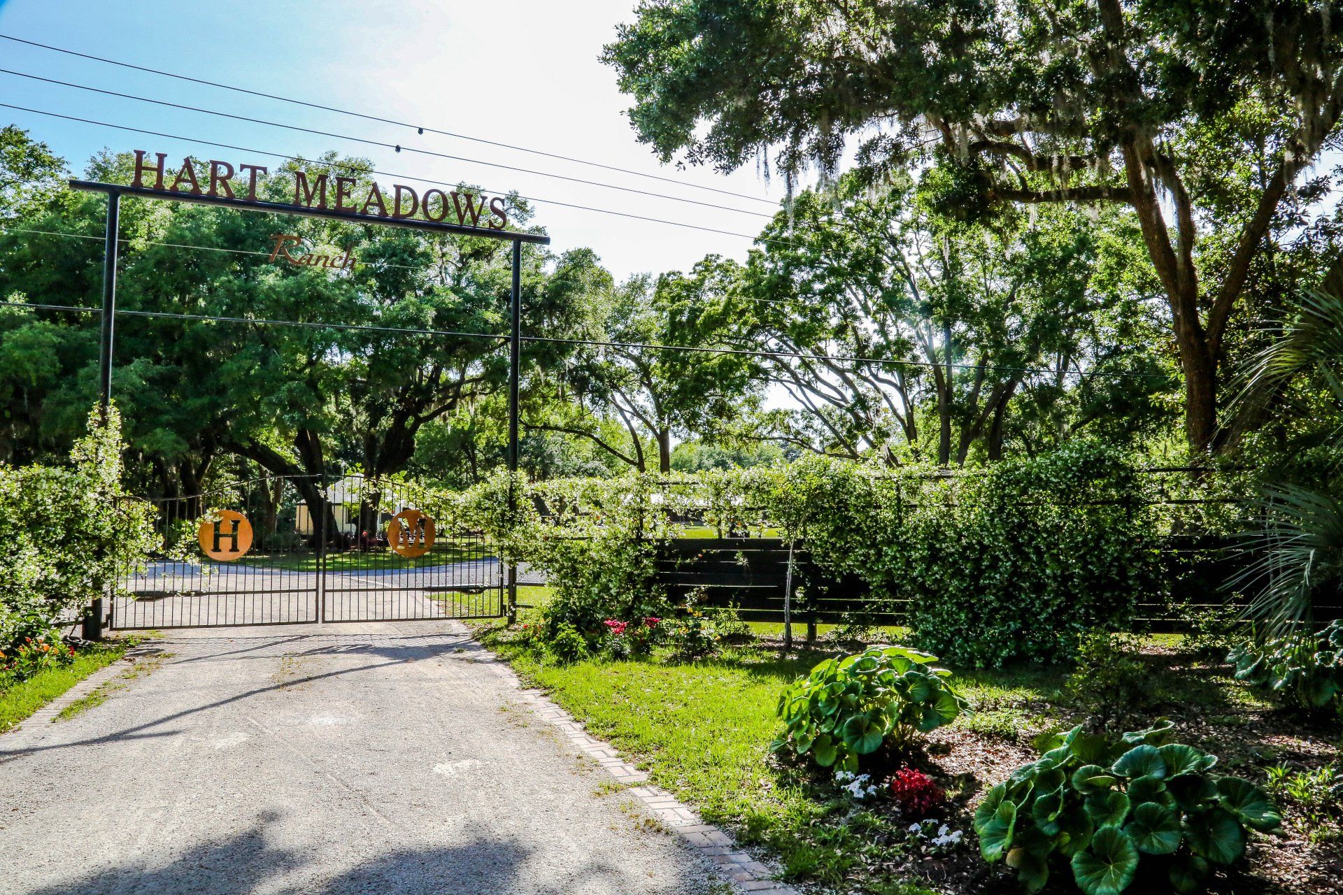 Gated garden entrance with gravel path, green trees, and metal archway in bright sunlight