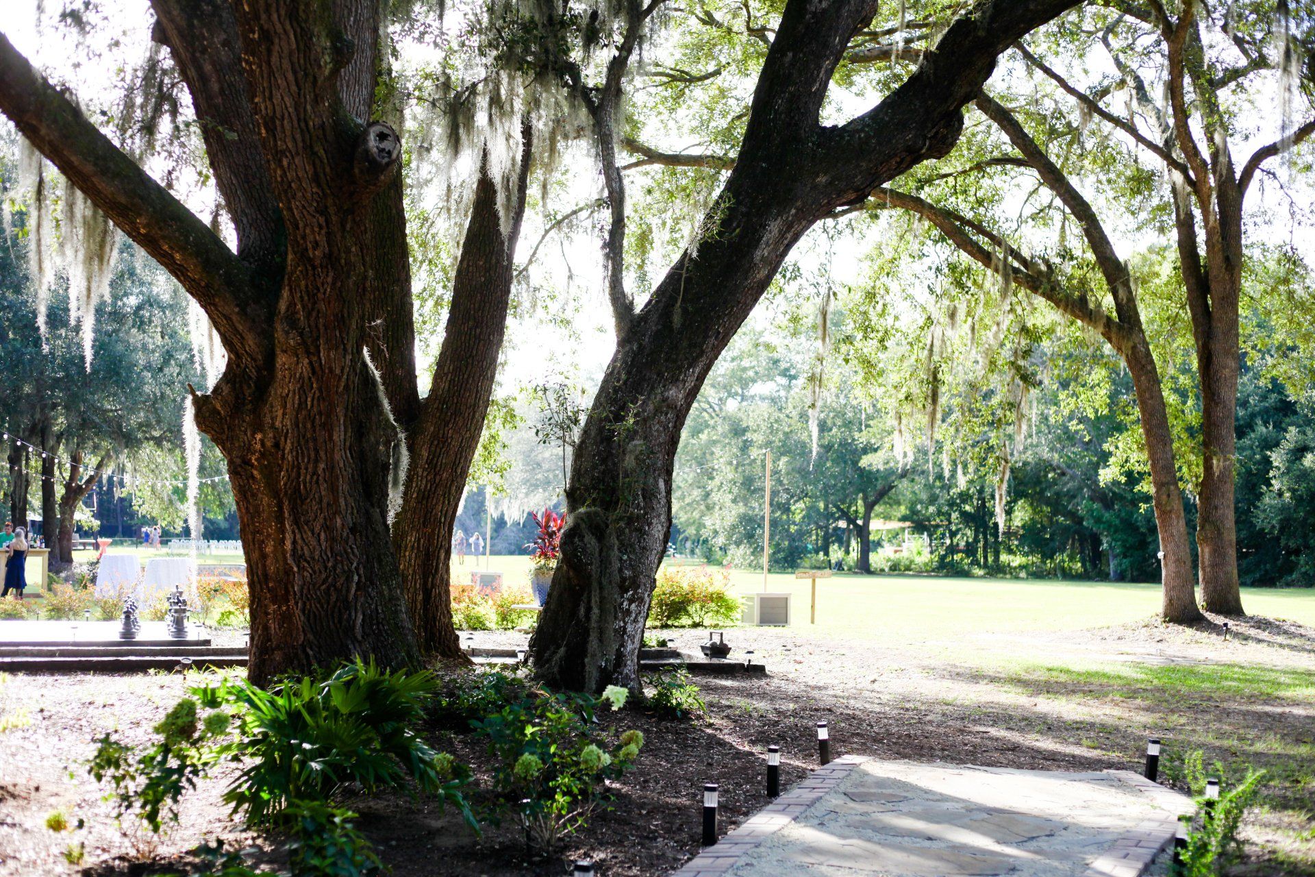 Hart Meadows Ranch Outdoor Wedding Venue in Charleston