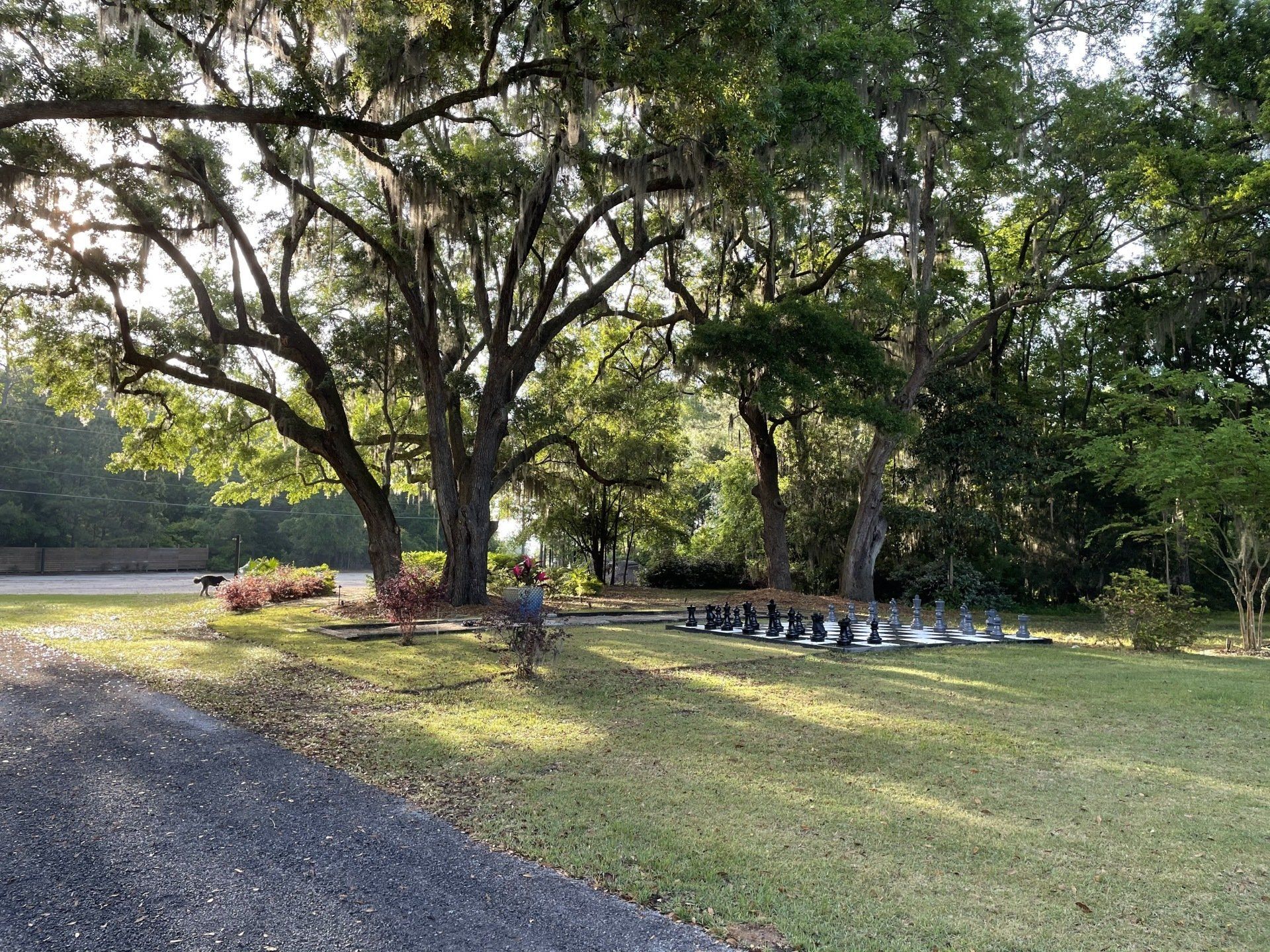 Hart Meadows Ranch outdoor wedding venue in charleston