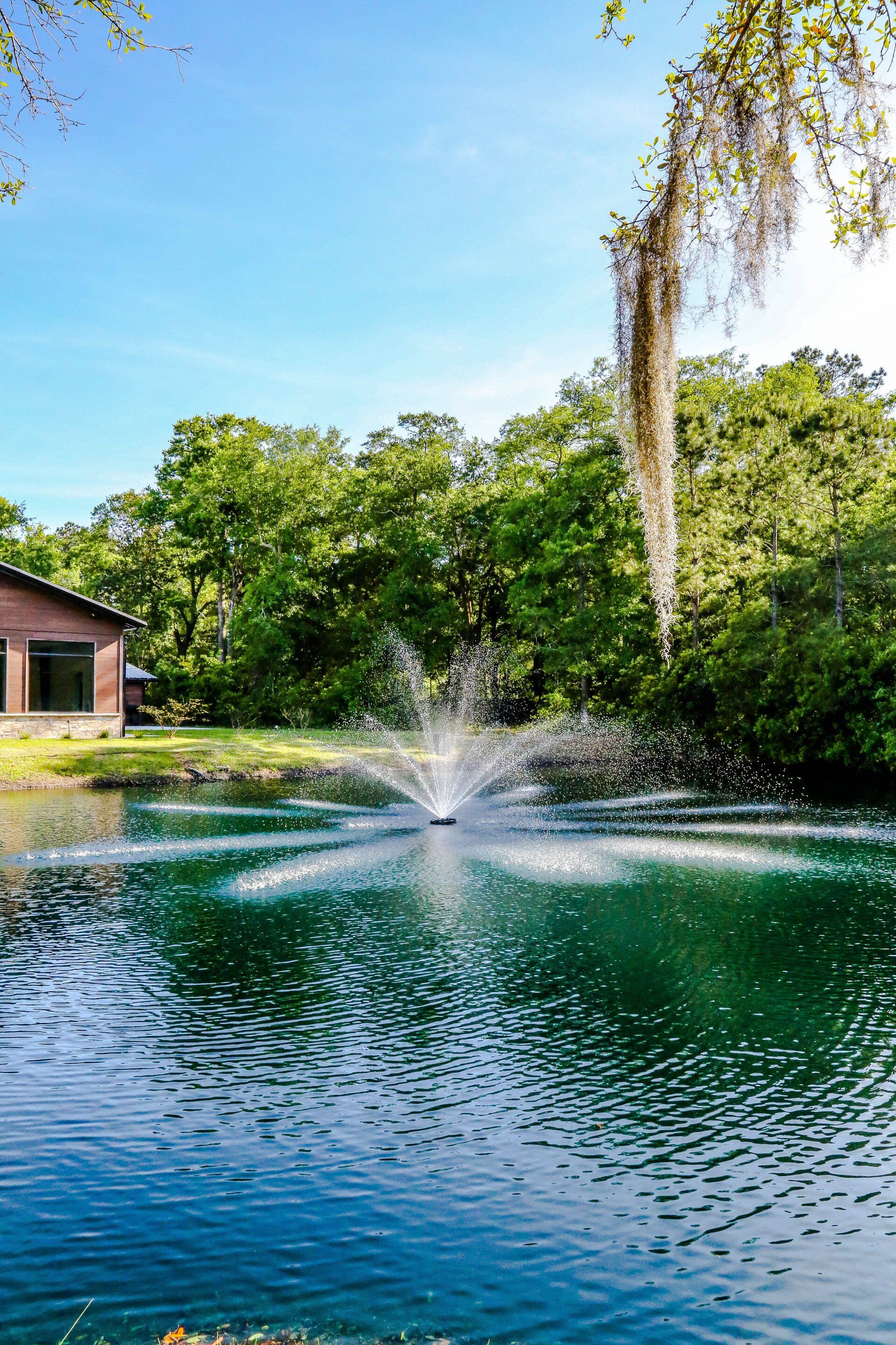 Pond with a fountain spraying water, surrounded by lush green trees and a building by the shore.