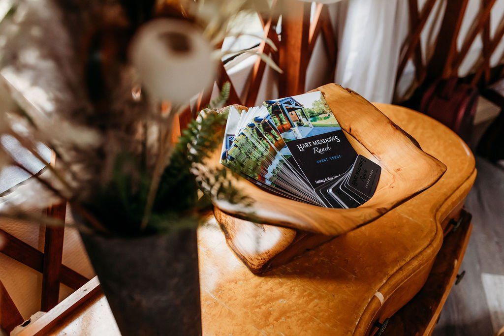 Leather ottoman with a folded magazine on top, beside a blurred plant in a warm indoor setting