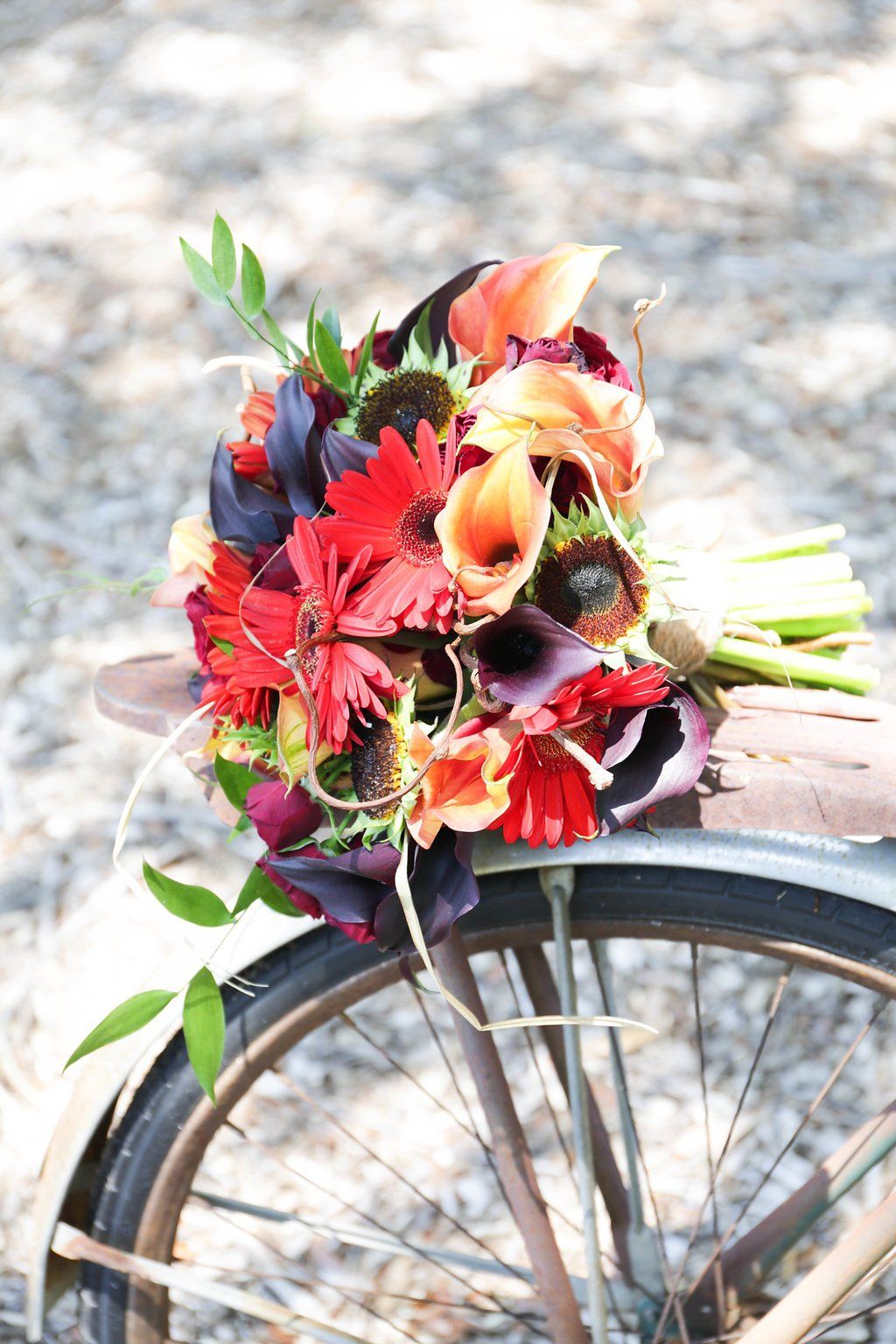 Hart Wedding at Hart Meadows Ranch Wedding and Event Venue in Charleston SC 56