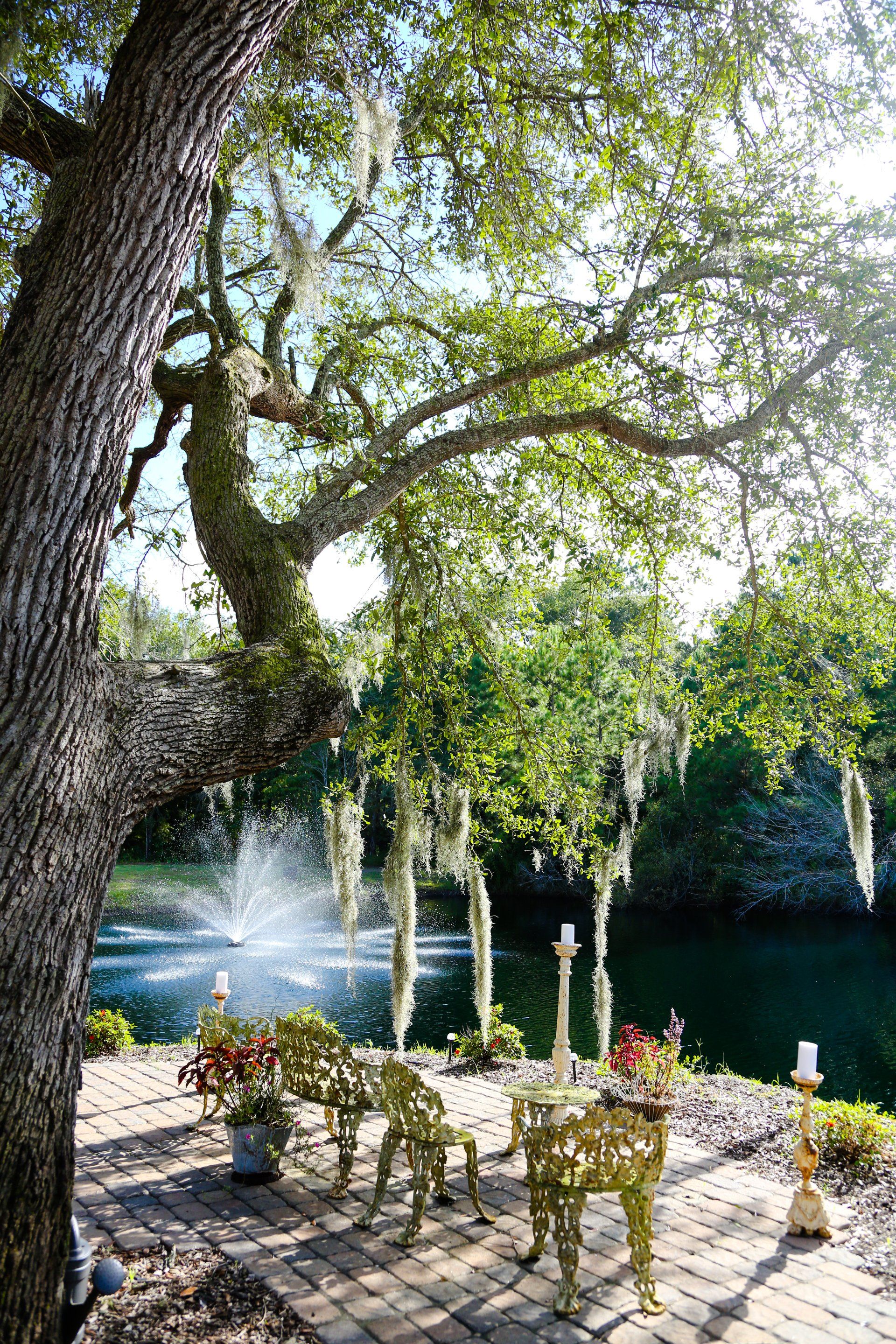 Hart Wedding at Hart Meadows Ranch Wedding and event venue in Charleston SC 66