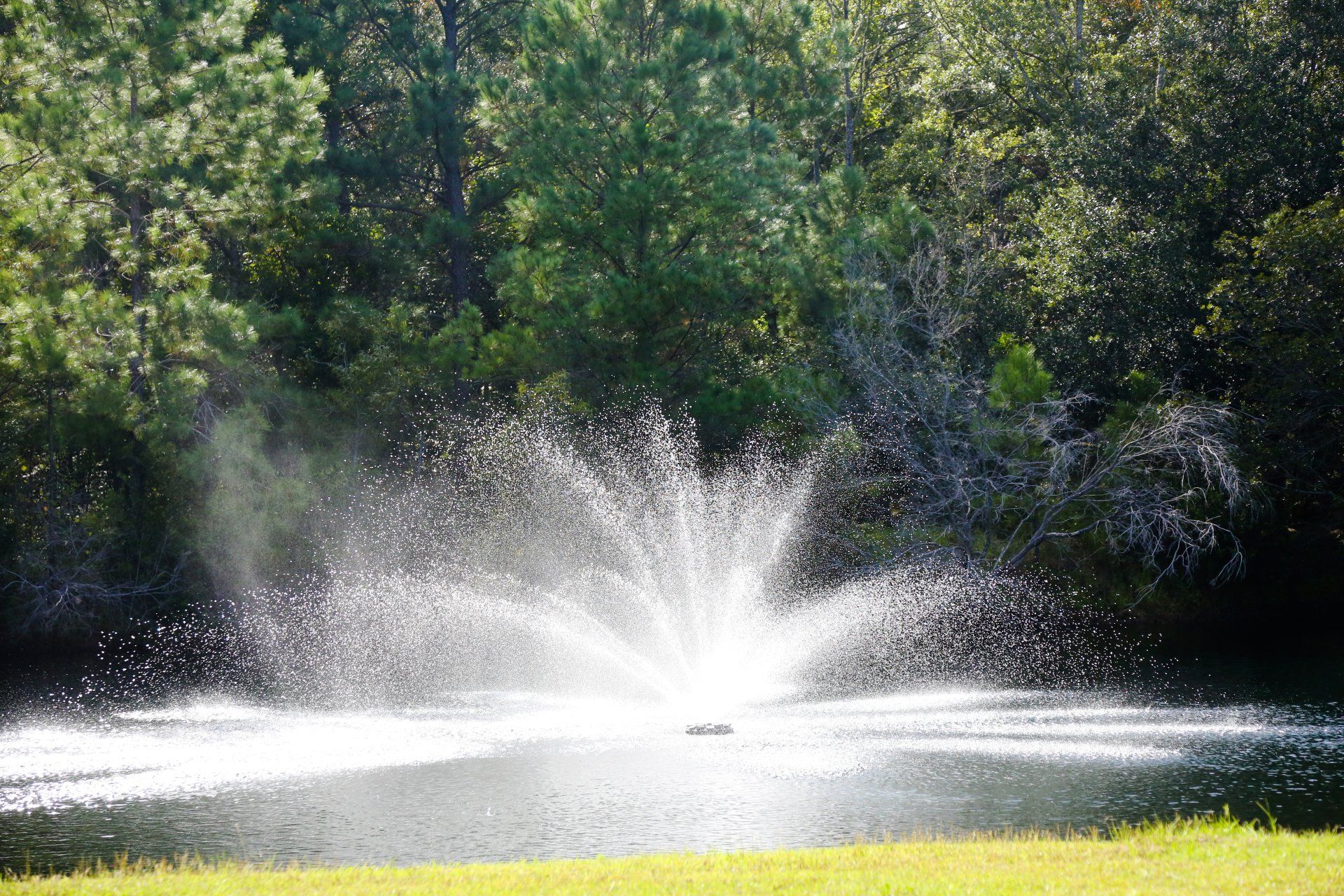 Hart Wedding at Hart Meadows Ranch Wedding and Event Venue in Charleston SC 69