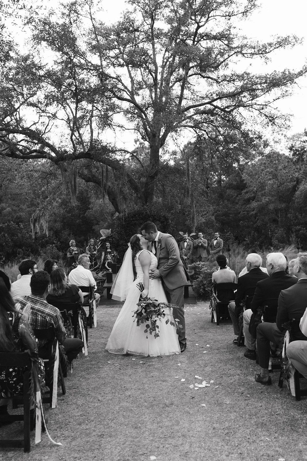 Outdoor wedding ceremony with a bride and groom walking down an aisle between seated guests under a large tree