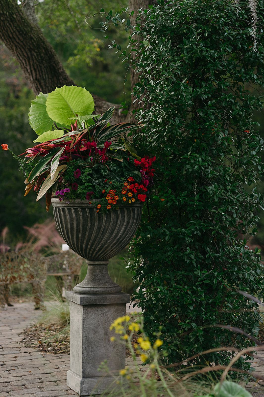 Large stone urn planter with red and green flowers beside a leafy garden path