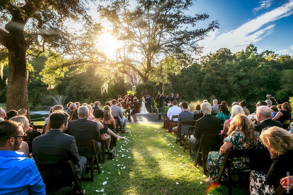 Guests seated outdoors at a sunlit garden ceremony beneath trees, with the sun shining through the branches.