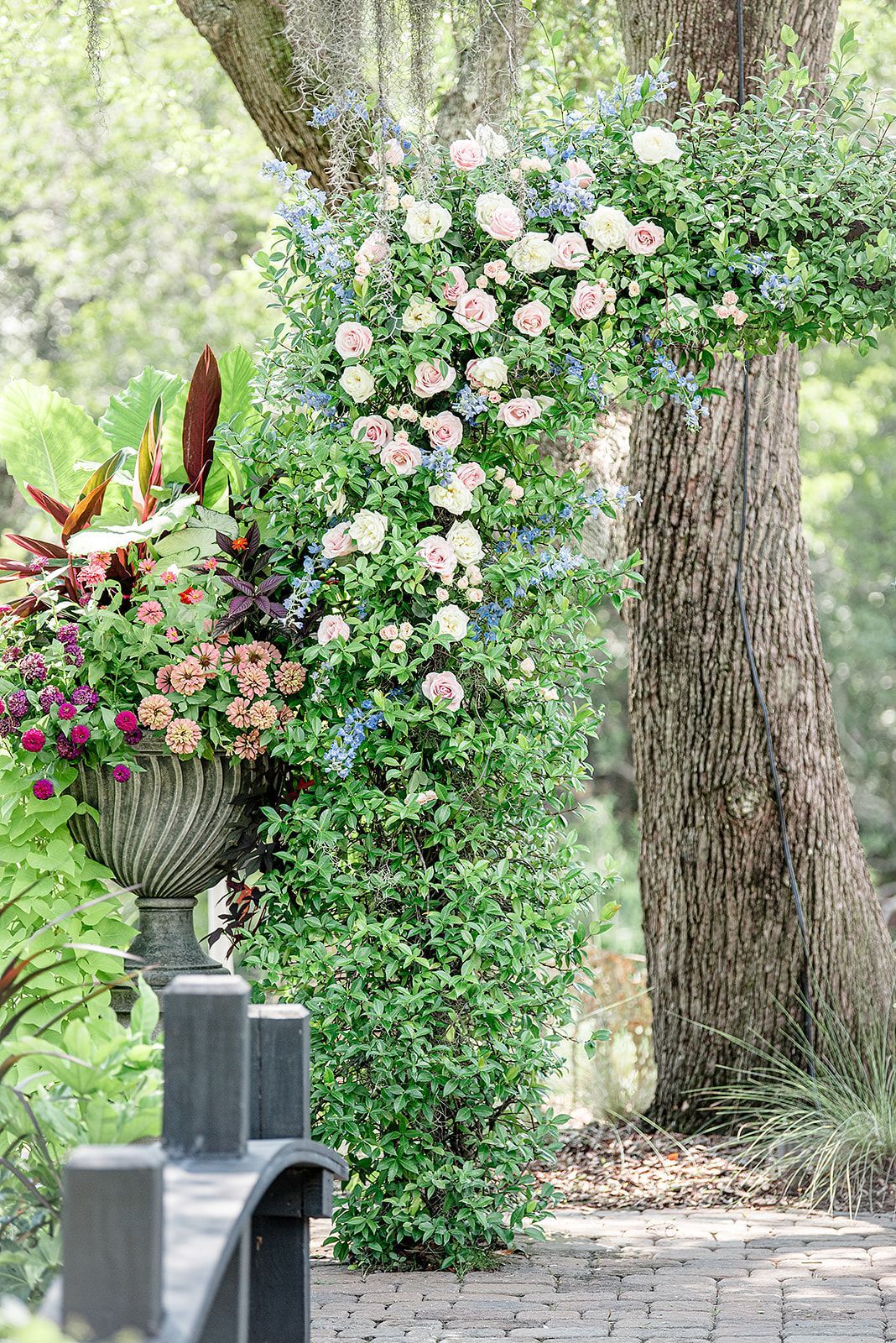 Flower-filled planter with pink blooms and green vines beside a large tree in a garden path.