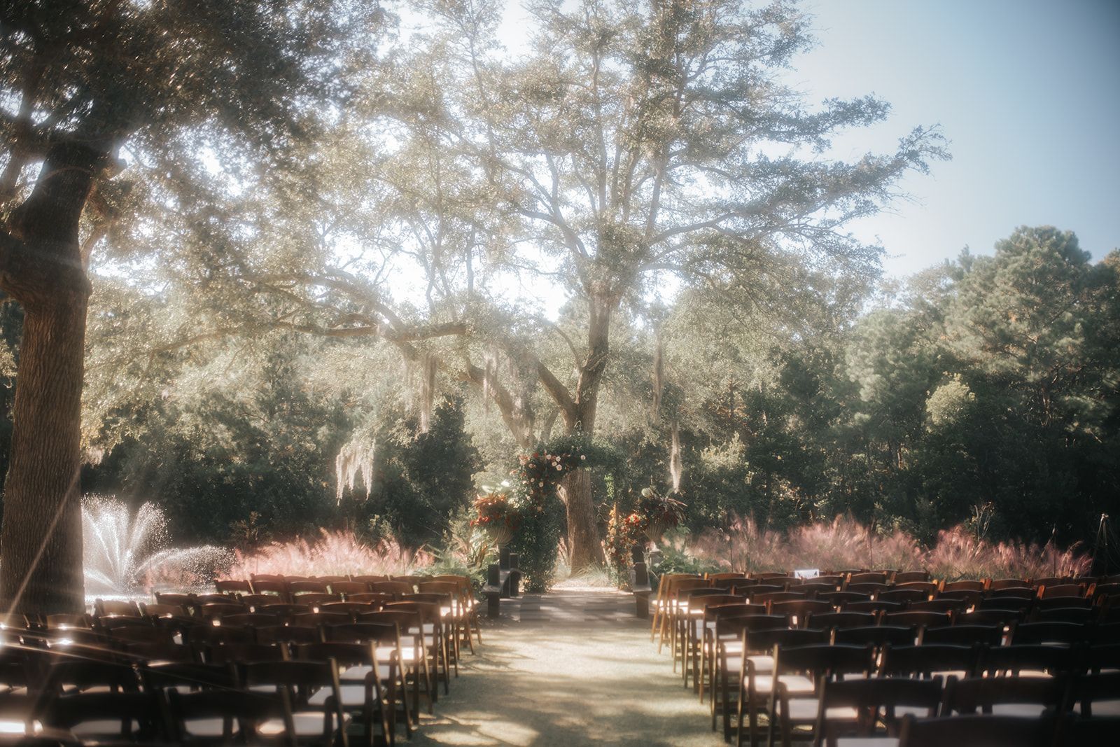 Outdoor seating under large trees with rows of empty benches in a sunlit garden.