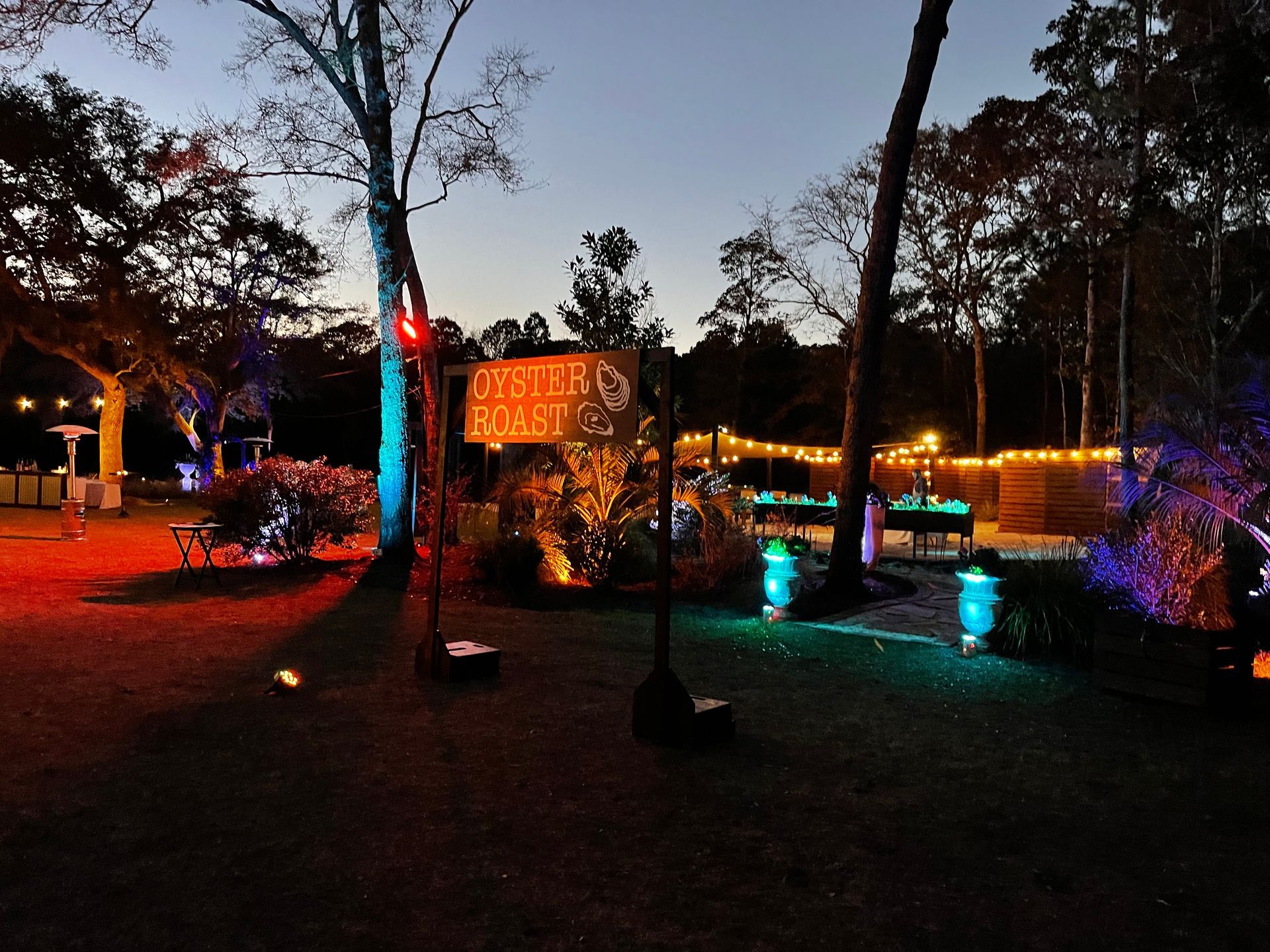 night shot
