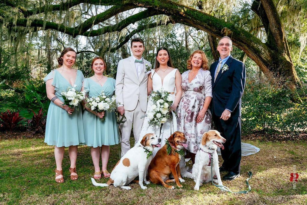Wedding party posing under a large tree with flowers and three dogs on a grassy lawn
