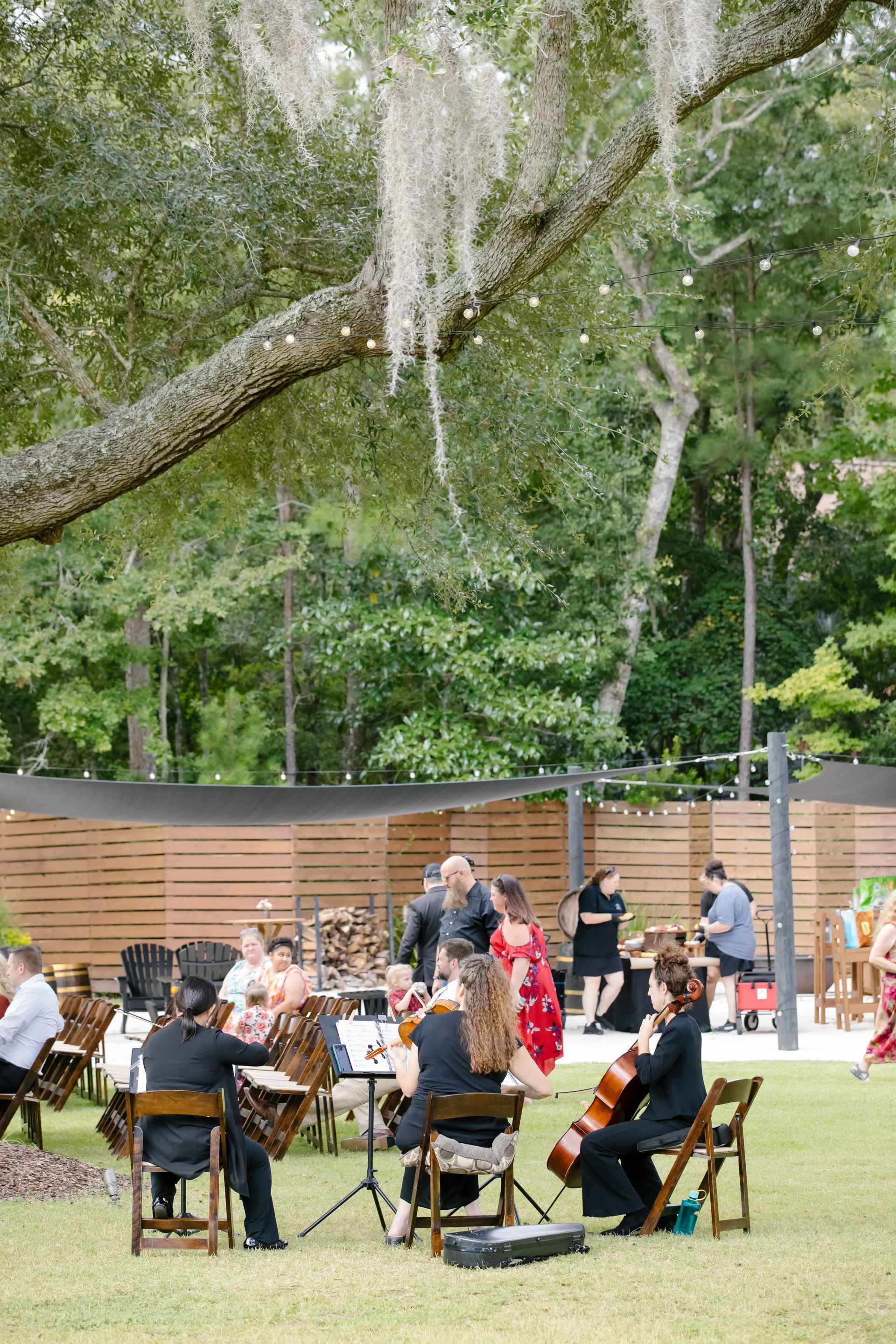 Outdoor gathering with people seated at tables under a large tree, with a wooden fence and greenery behind them