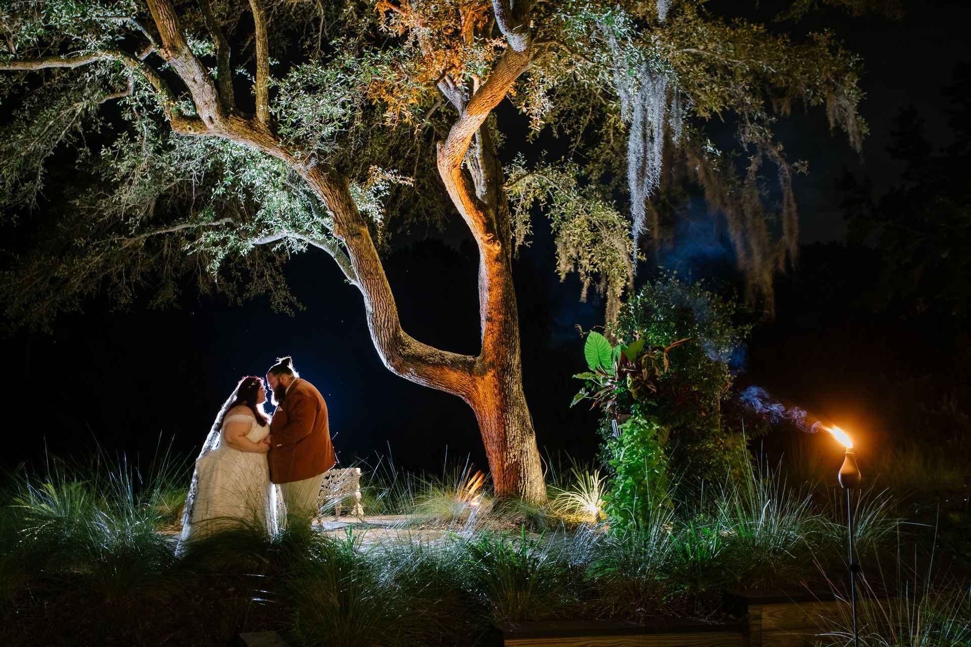 Couple embracing under a lit tree at night, with glowing lights and dark foliage around them