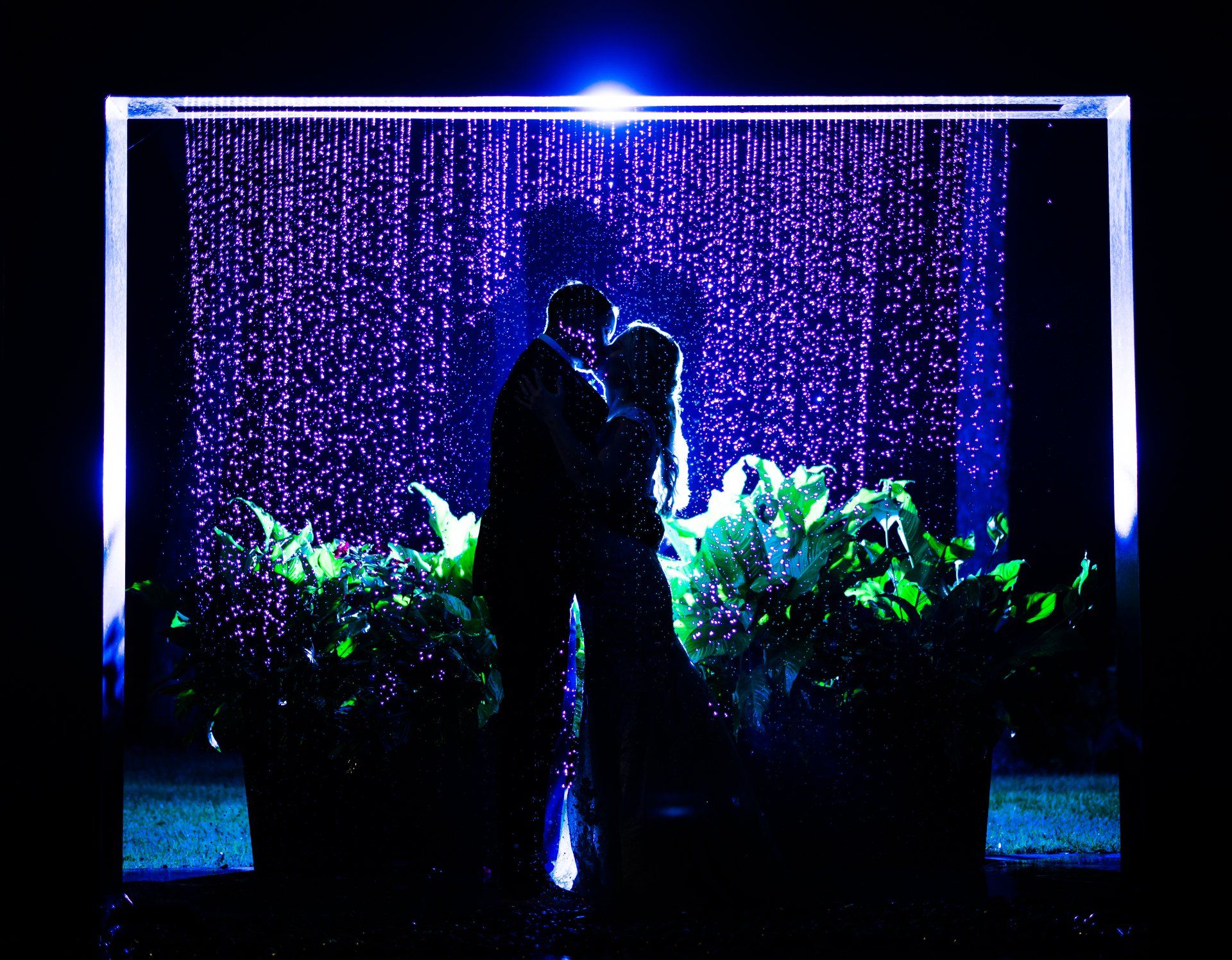Silhouetted couple embracing under blue-purple lights with glowing plants and curtain backdrop