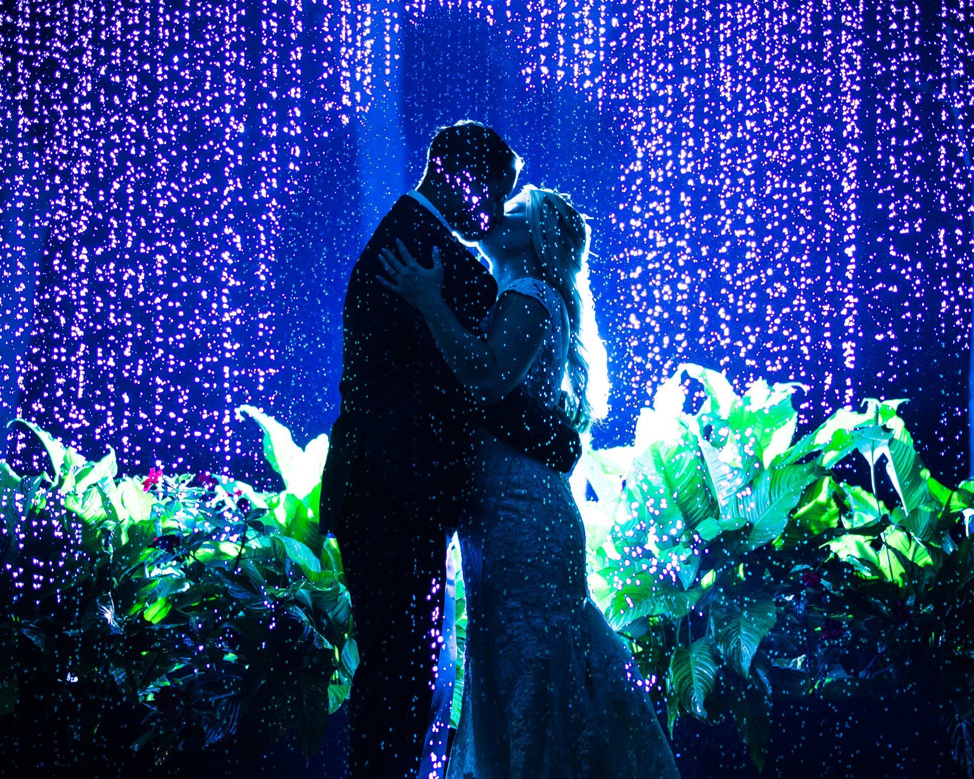 Silhouetted couple embracing under blue lights, surrounded by glowing greenery and hanging light strands.