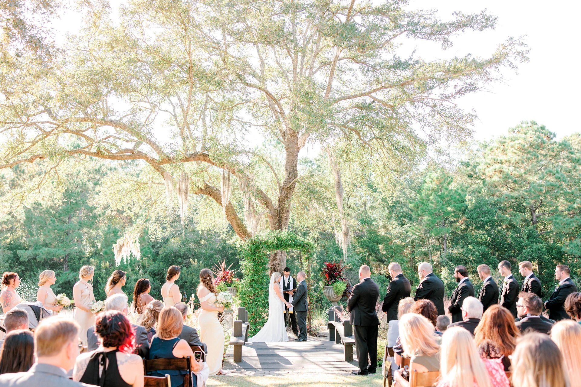 Outdoor wedding ceremony under a large tree with guests seated and people standing in formal attire