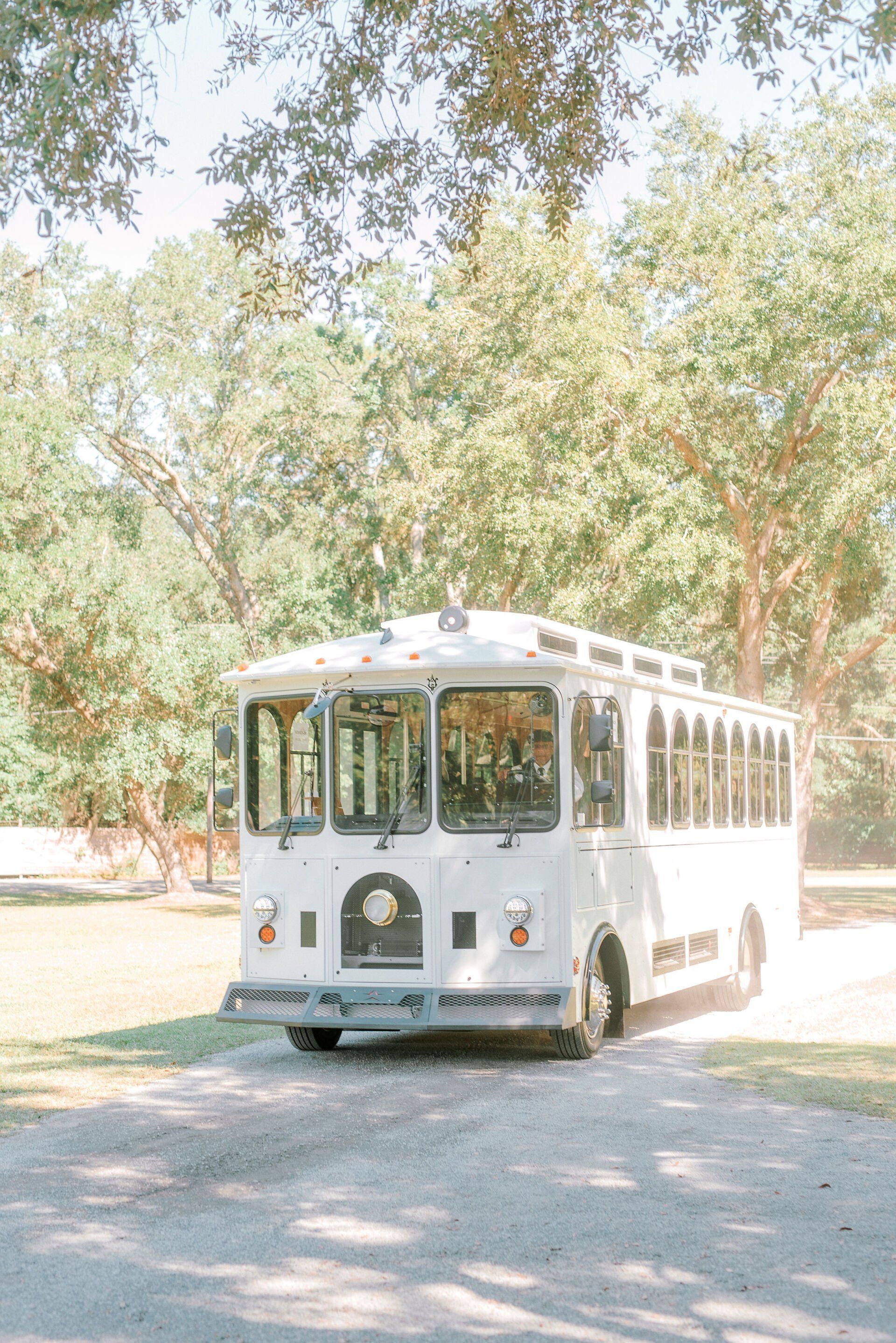 White tour bus driving on a tree-lined path in a sunny park