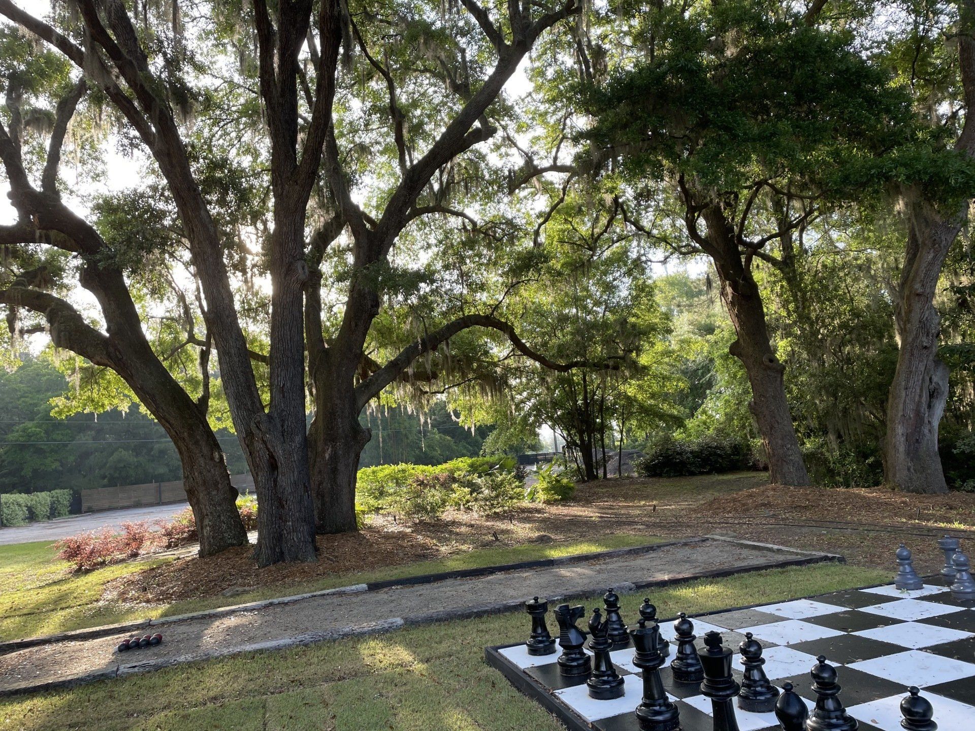 oaks and chess set at Hart Meadows Ranch outdoor wedding venue in charleston