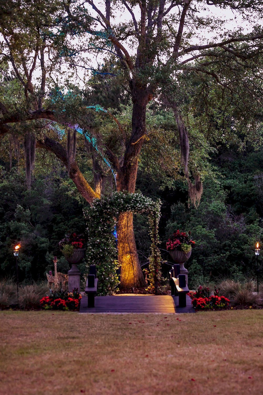Tree lit with warm lights in a garden, framed by flowers and trees at dusk.
