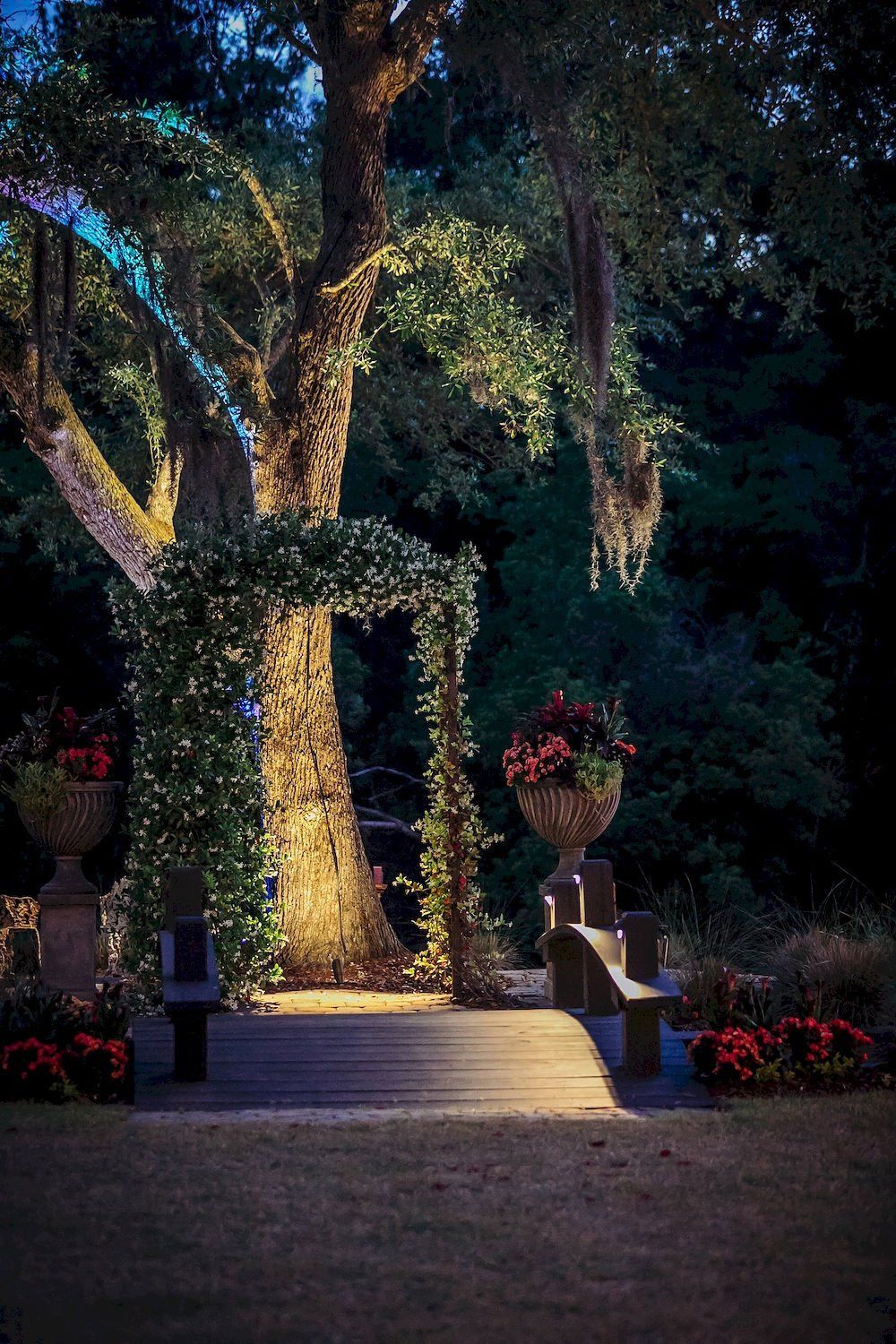 Lit garden path beneath large trees, with flower pots and warm lights at dusk