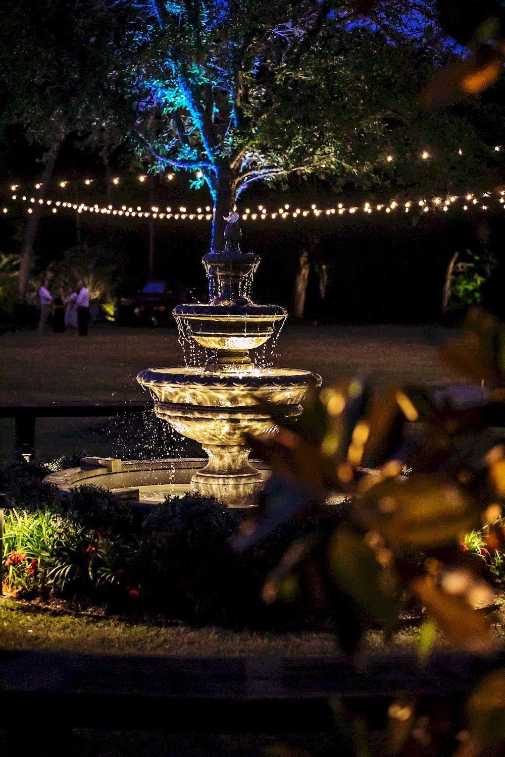 Illuminated fountain in a dark garden with string lights and a blue-lit tree overhead