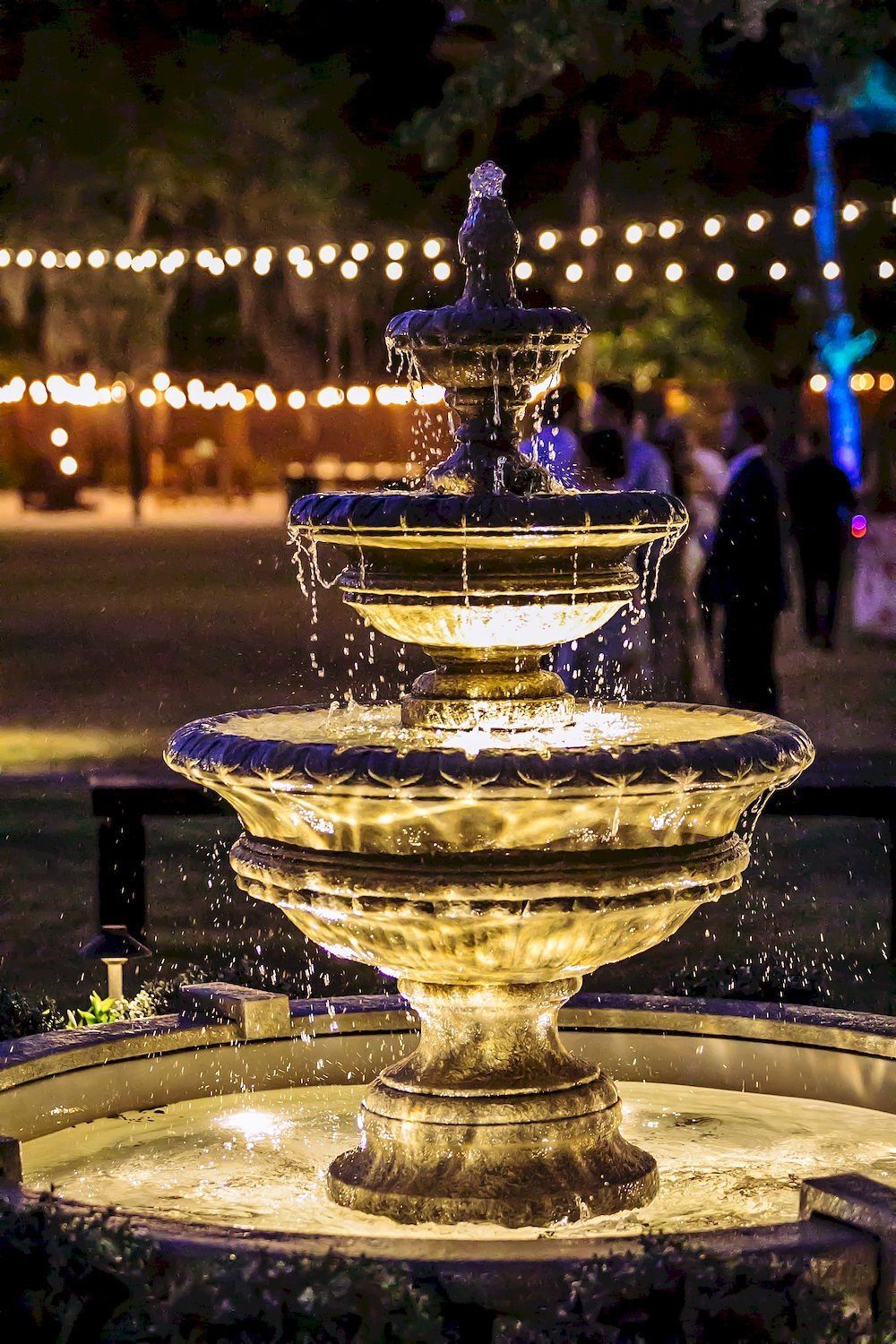 night fountain Hart Meadows Ranch