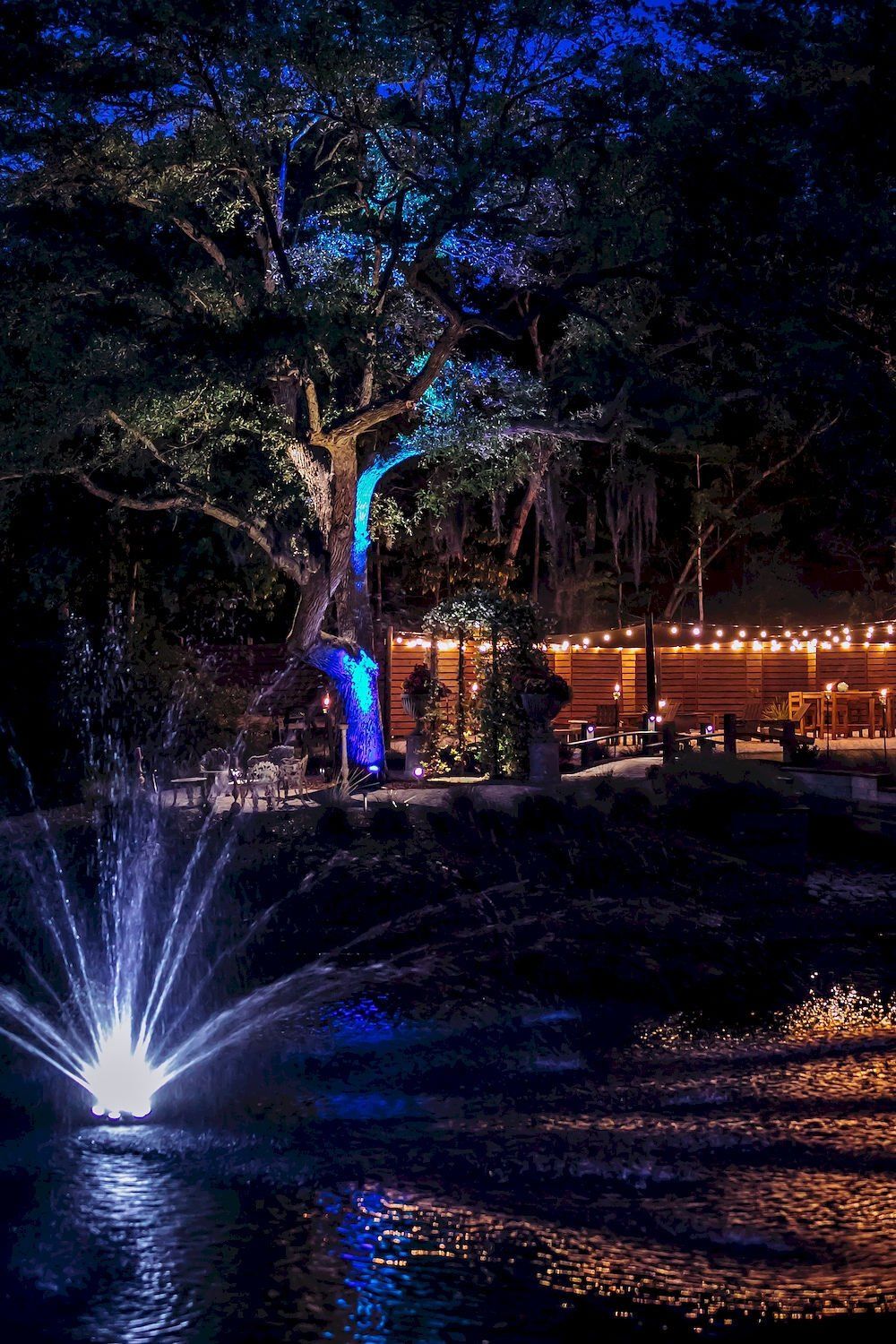 Night pond with blue-lit fountain, illuminated trees, and warm lights reflected on water