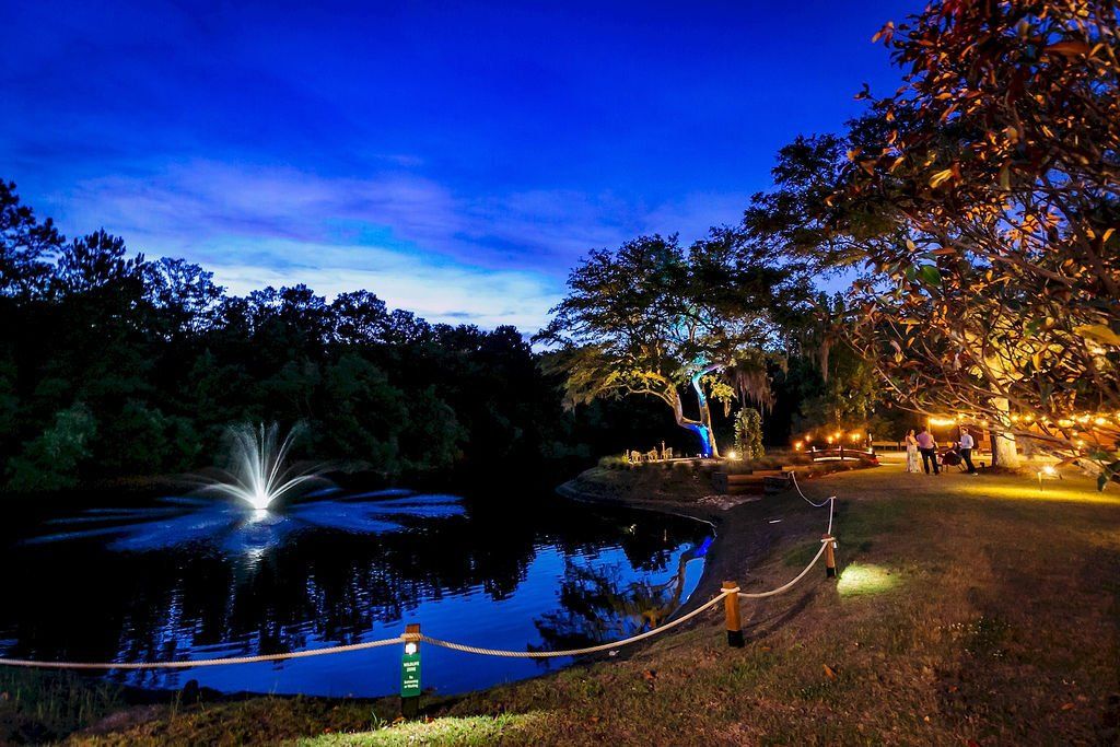Night park scene with a lit fountain, reflective pond, and blue twilight sky