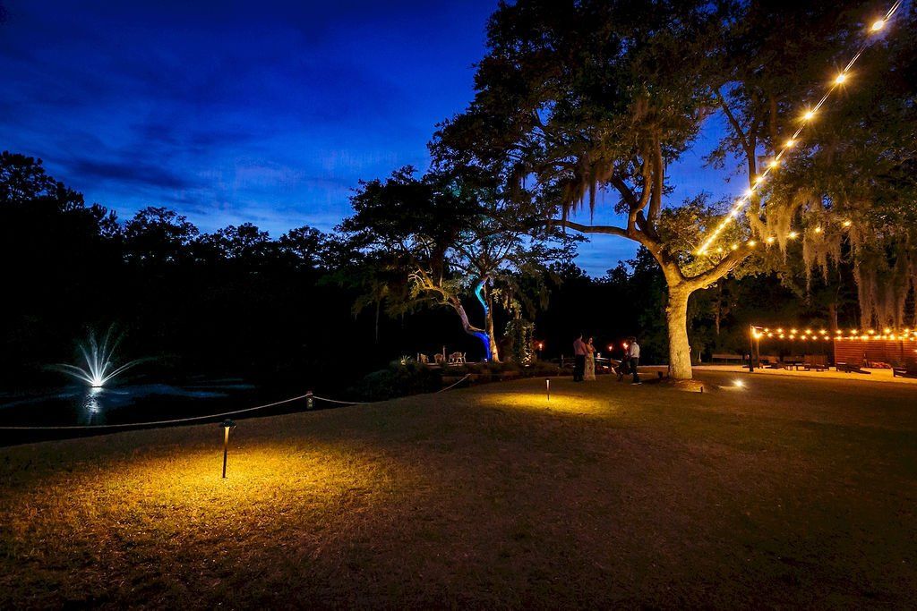 Nighttime park with trees wrapped in lights, glowing path lamps, and a deep blue sky