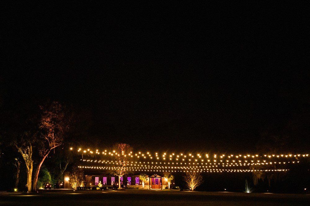 Nighttime outdoor event with lit bridge, glowing trees, and colorful lights beneath an open sky