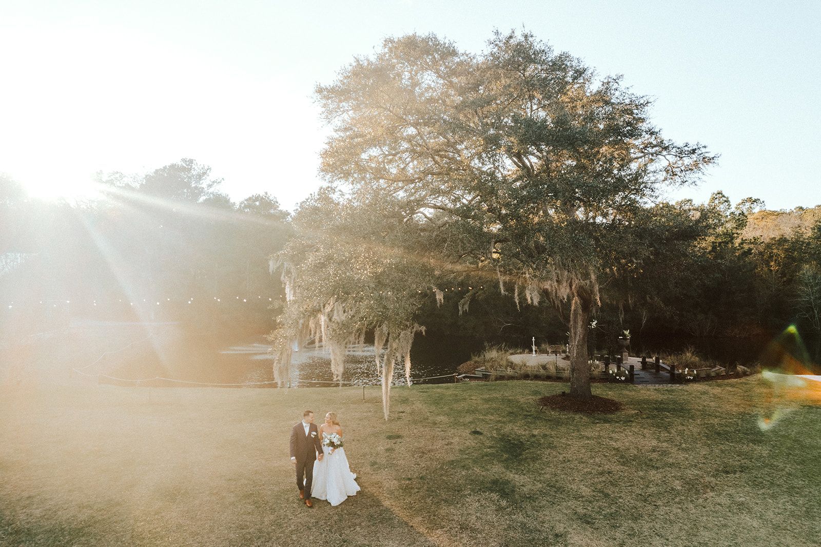 Two children sitting on grass in a sunlit park near a large tree