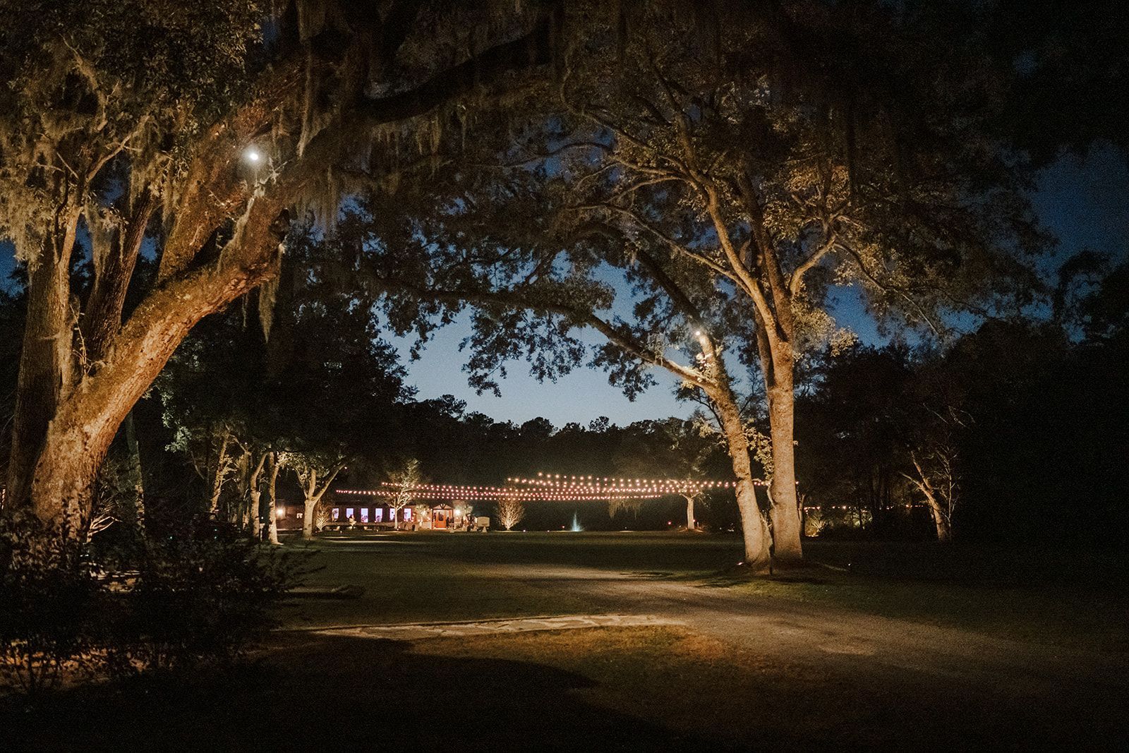 night shot