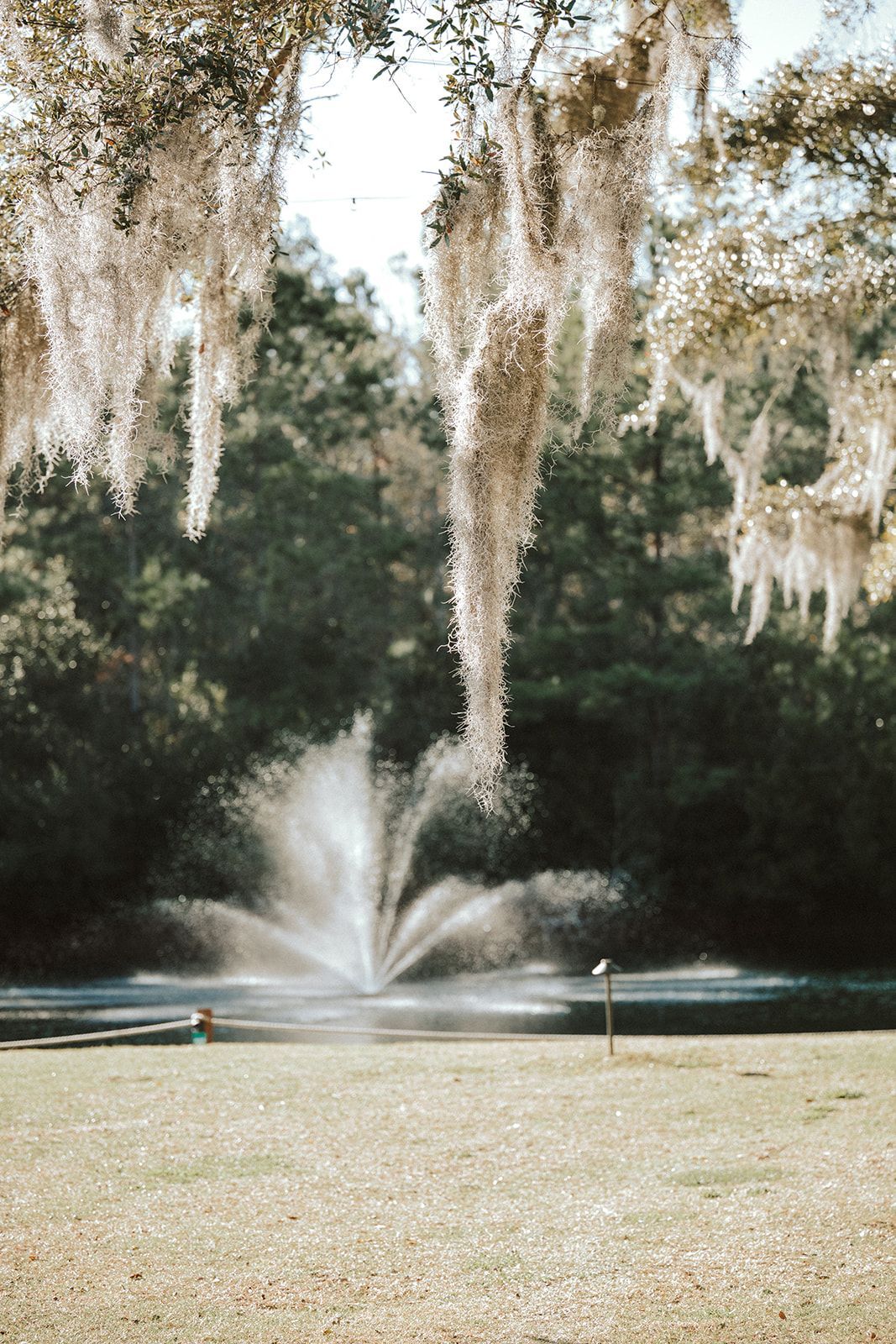 Fountain spraying in a tree-lined park with Spanish moss hanging overhead