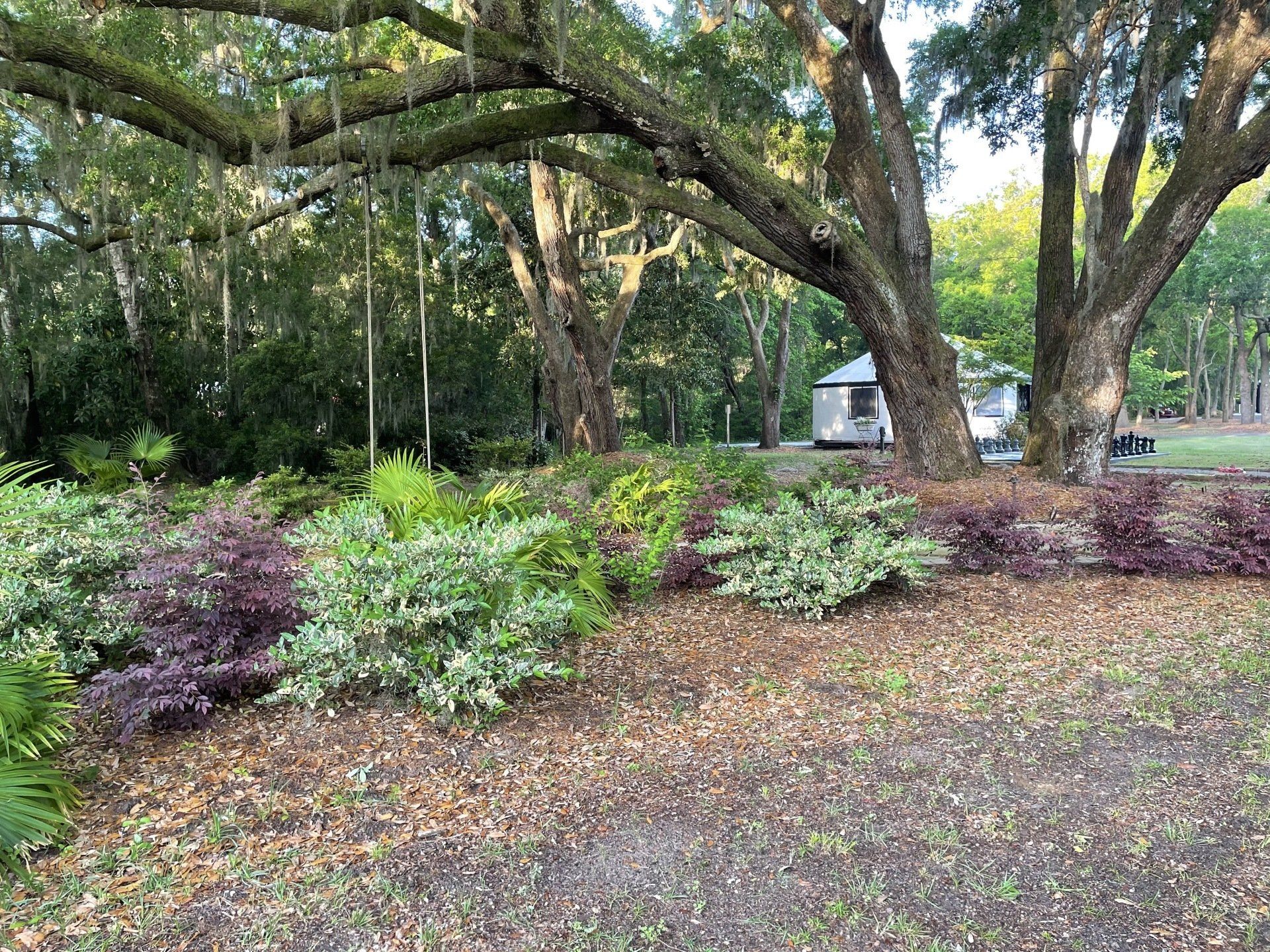 tree swing amongth live oaks at hart meadows ranch outdoor event venue in charleston
