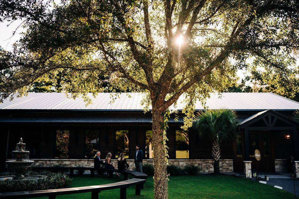 Sunlit outdoor patio with a large tree, stone building, and people seated at tables