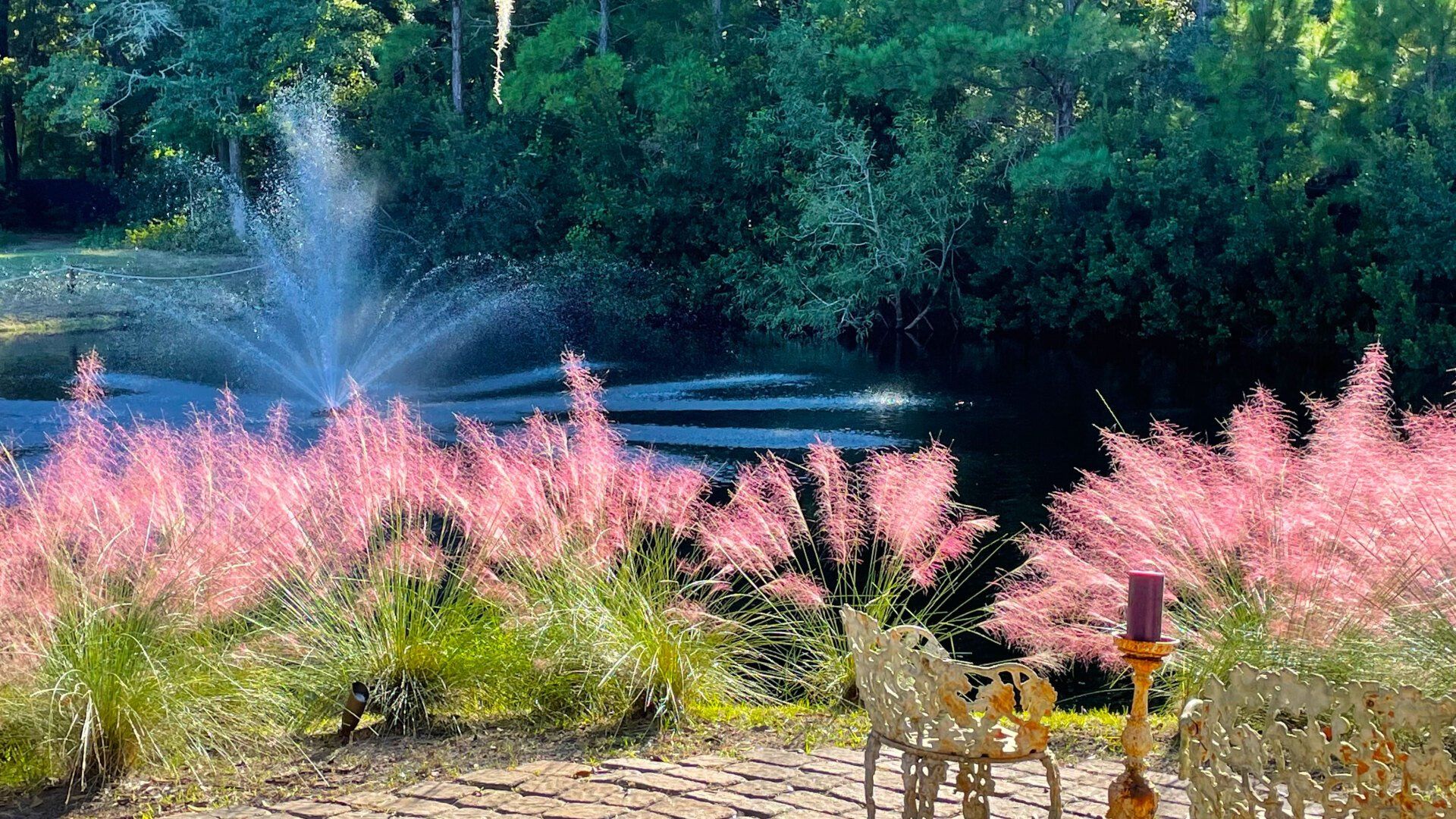 Pink wildflowers beside a pond with a fountain and lush green trees in the background