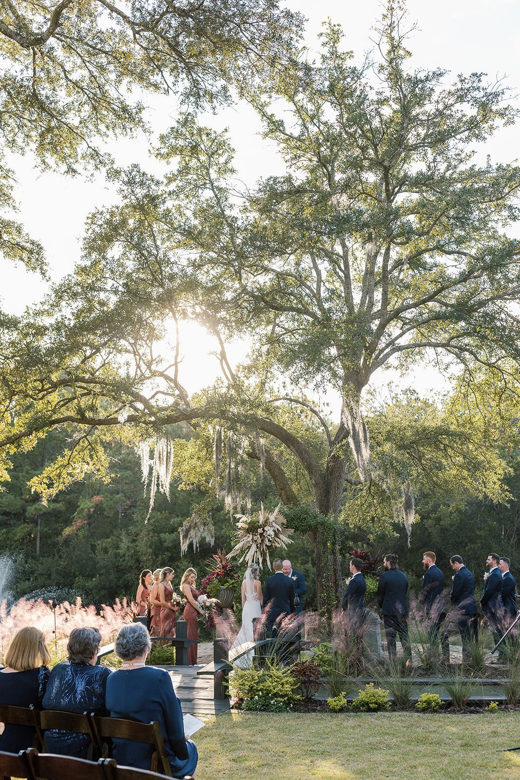 People seated outdoors under a large tree, with sunlight filtering through the branches.