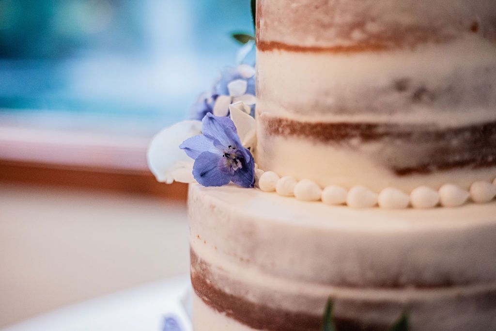 Close-up of a rustic white frosted cake with blue flowers and cream pearl borders