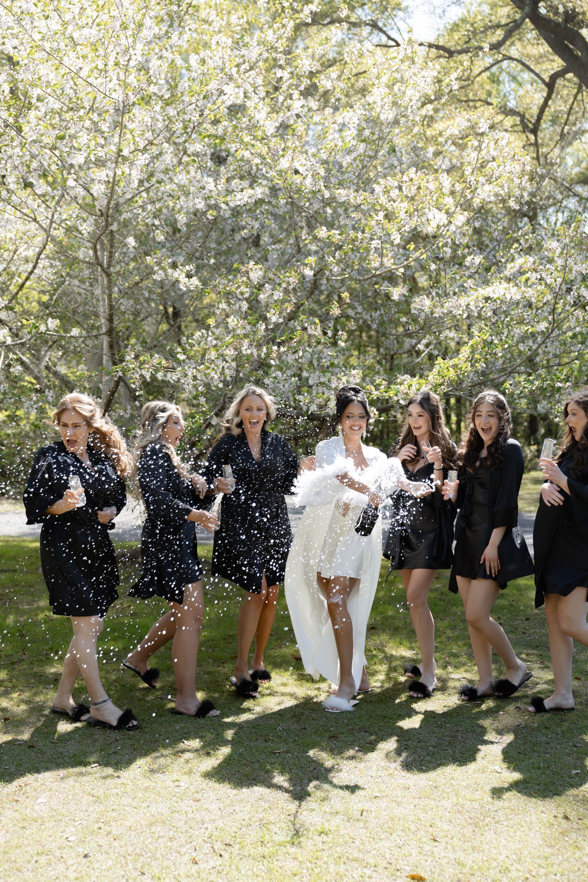 Group in black dresses and a white dress celebrating outdoors under blooming trees.
