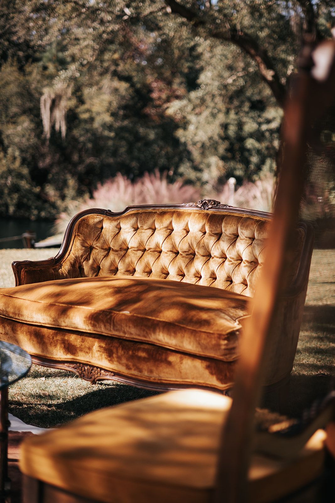 Gold tufted velvet sofa and wooden chair in a sunlit outdoor garden setting