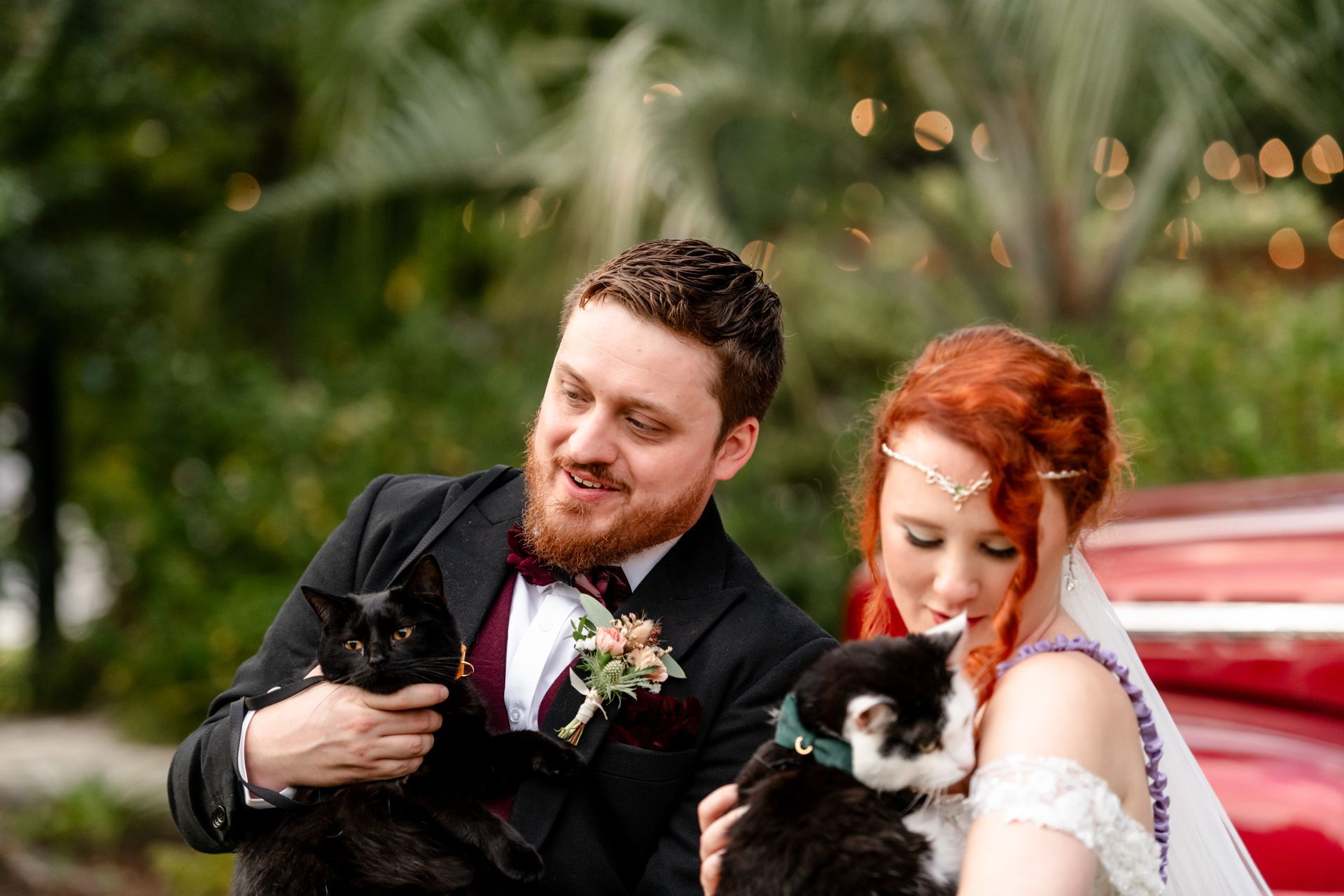 Wedding couple holding two black-and-white dogs outdoors, with red and green background bokeh