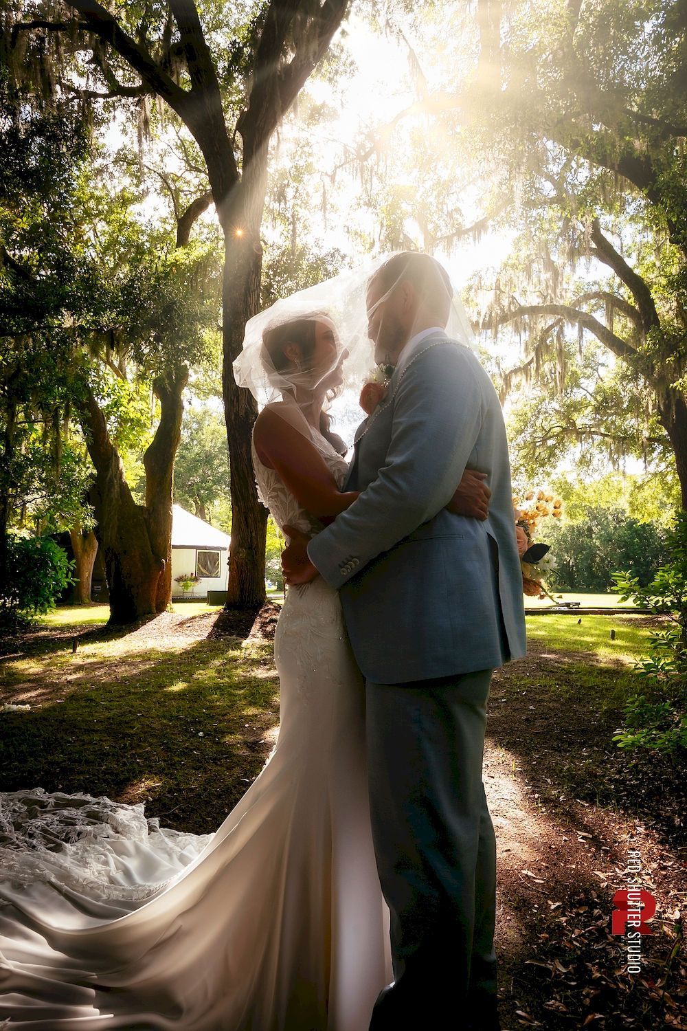 Couple embracing in wedding attire under sunlit trees, bride’s long gown trailing on the ground